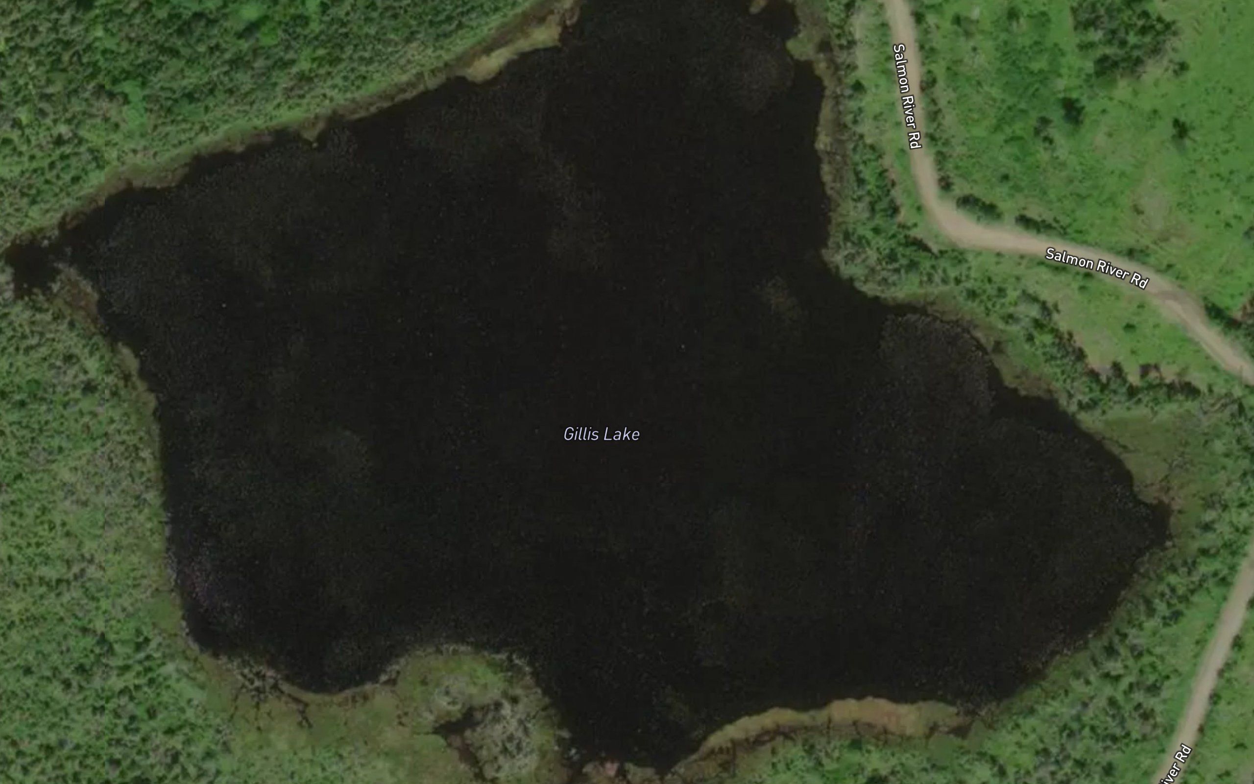 Gillis Lake