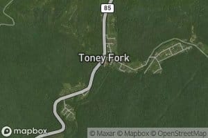 Toney Fork