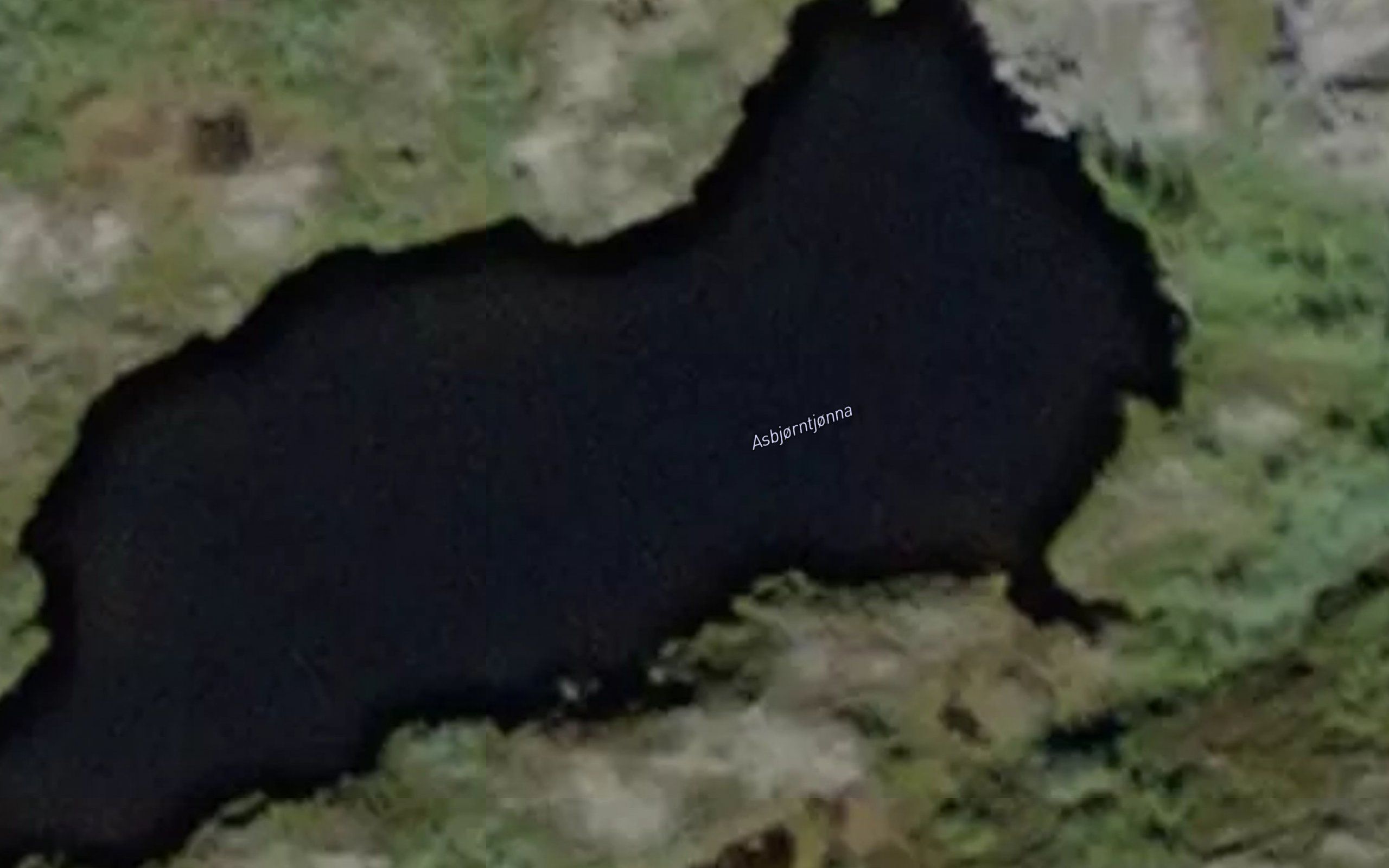 Asbjorntjorna