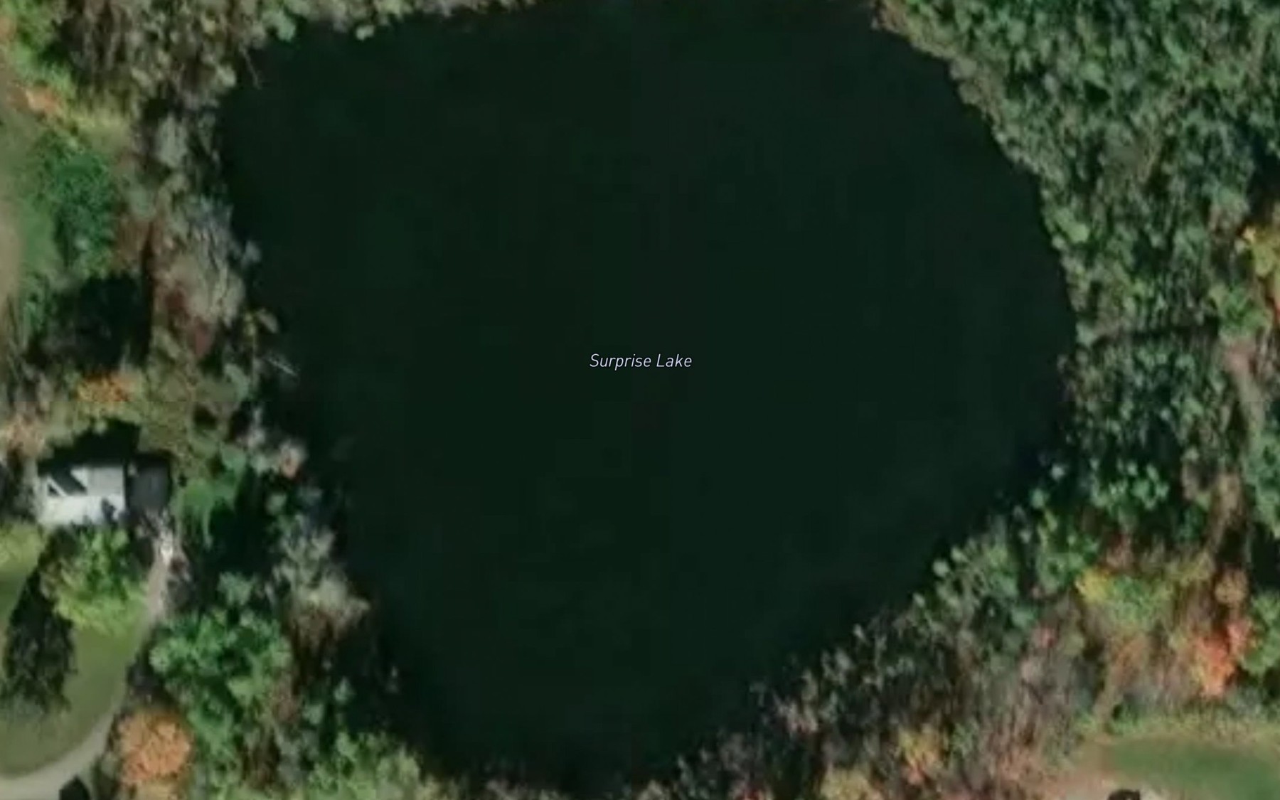 Satellite map of the Surprise Lake