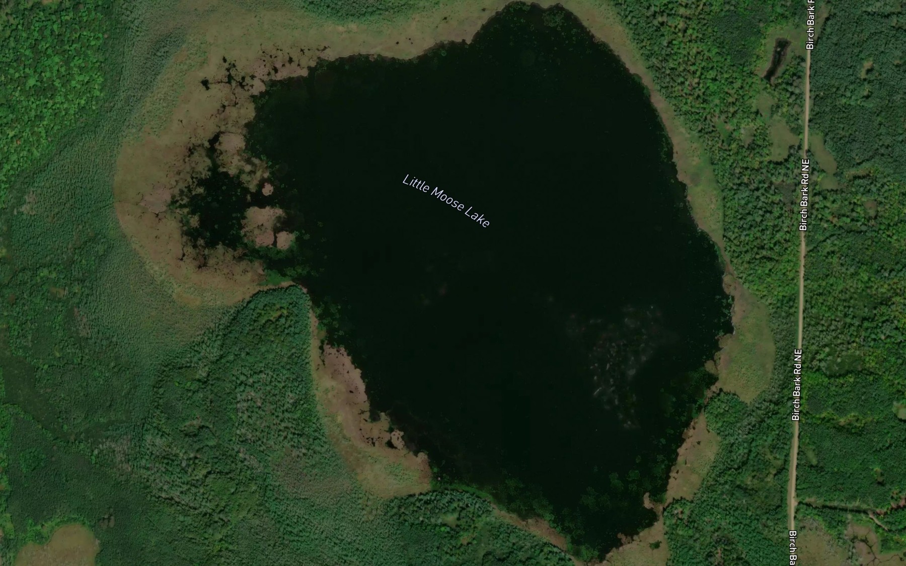 Little Moose Lake Fishing near Bemidji, MN | Fishbox