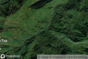 Satellite map of the Mud Tunnel Branch