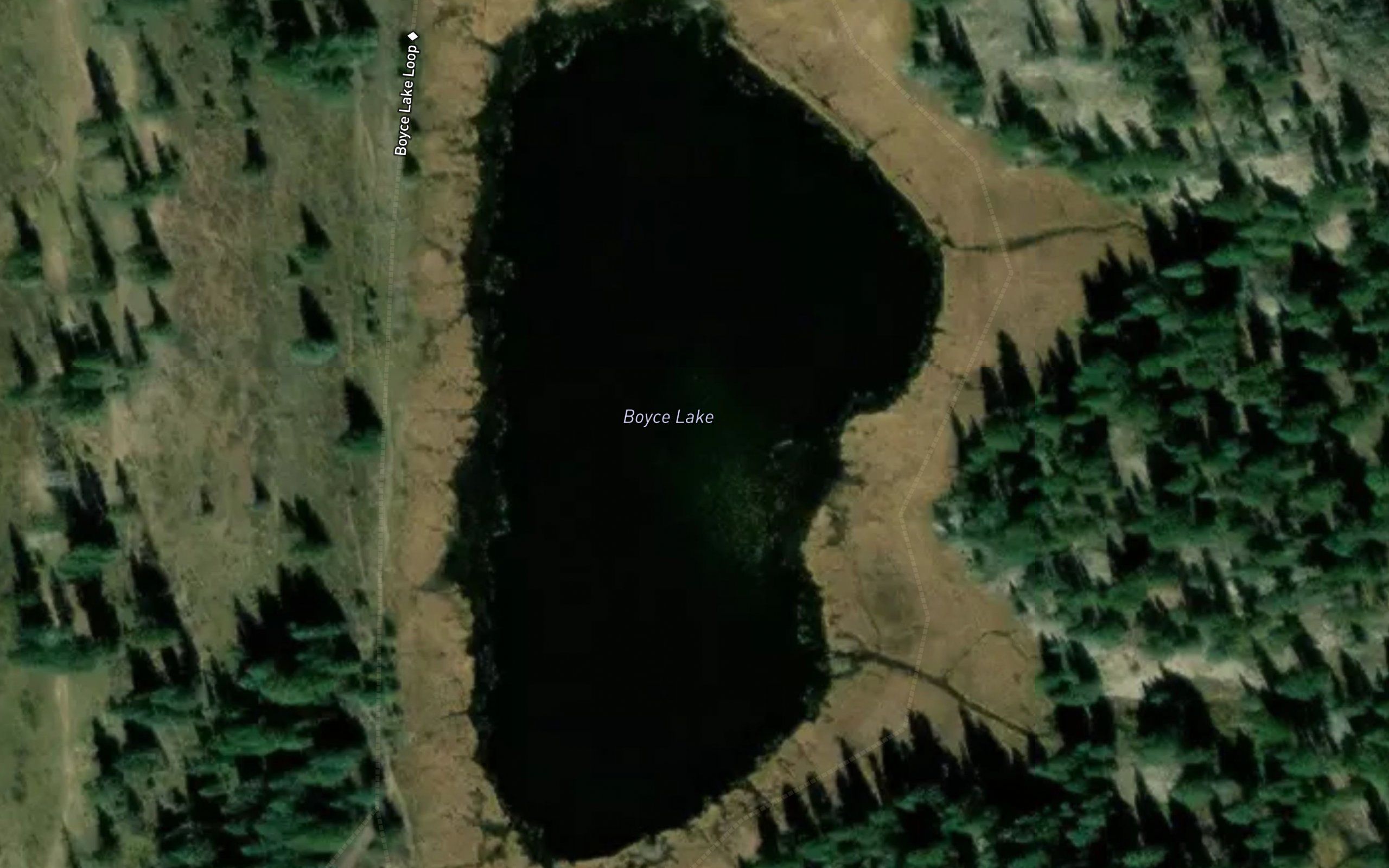 Boyce Lake