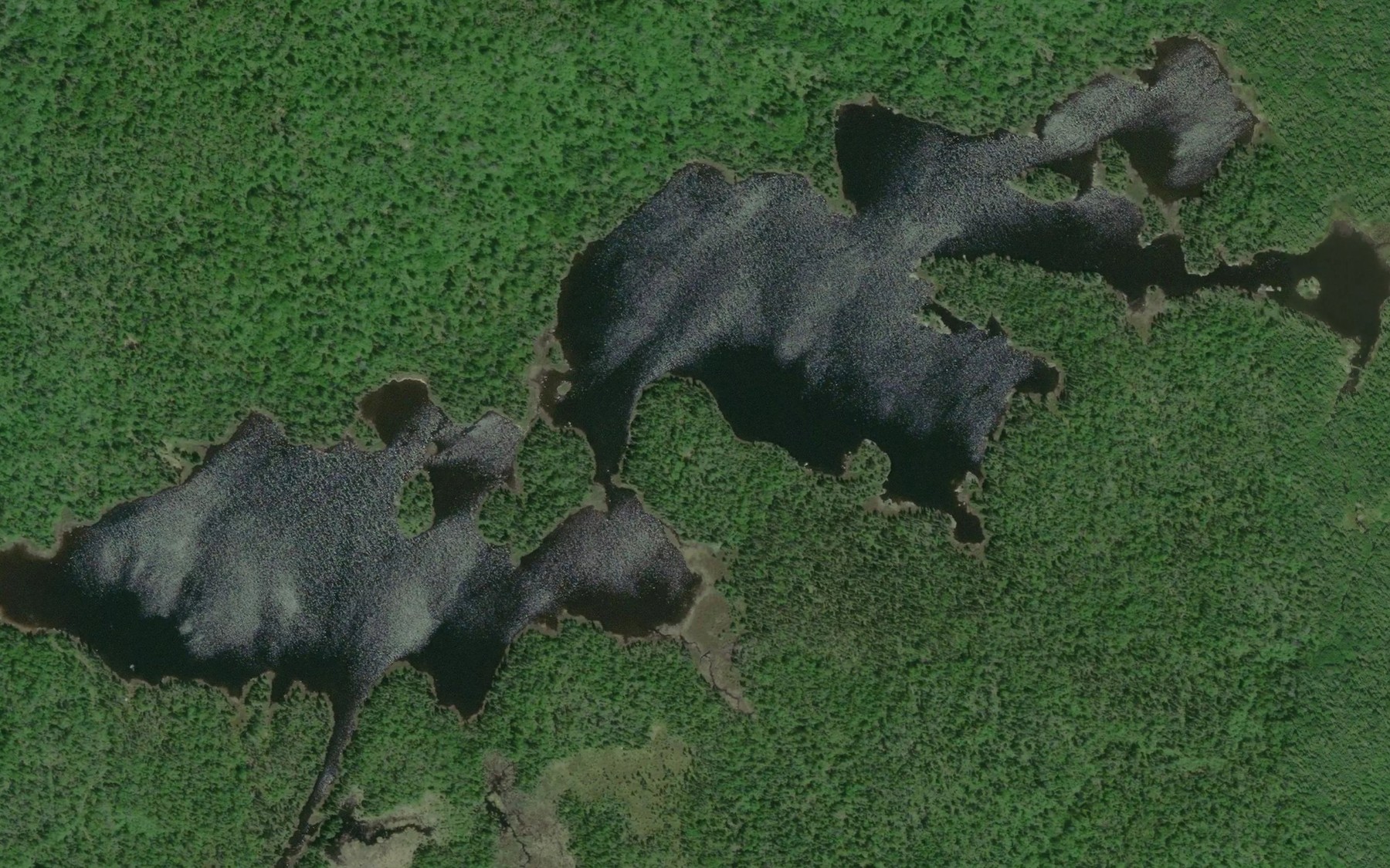 Satellite map of the Longworth Lake