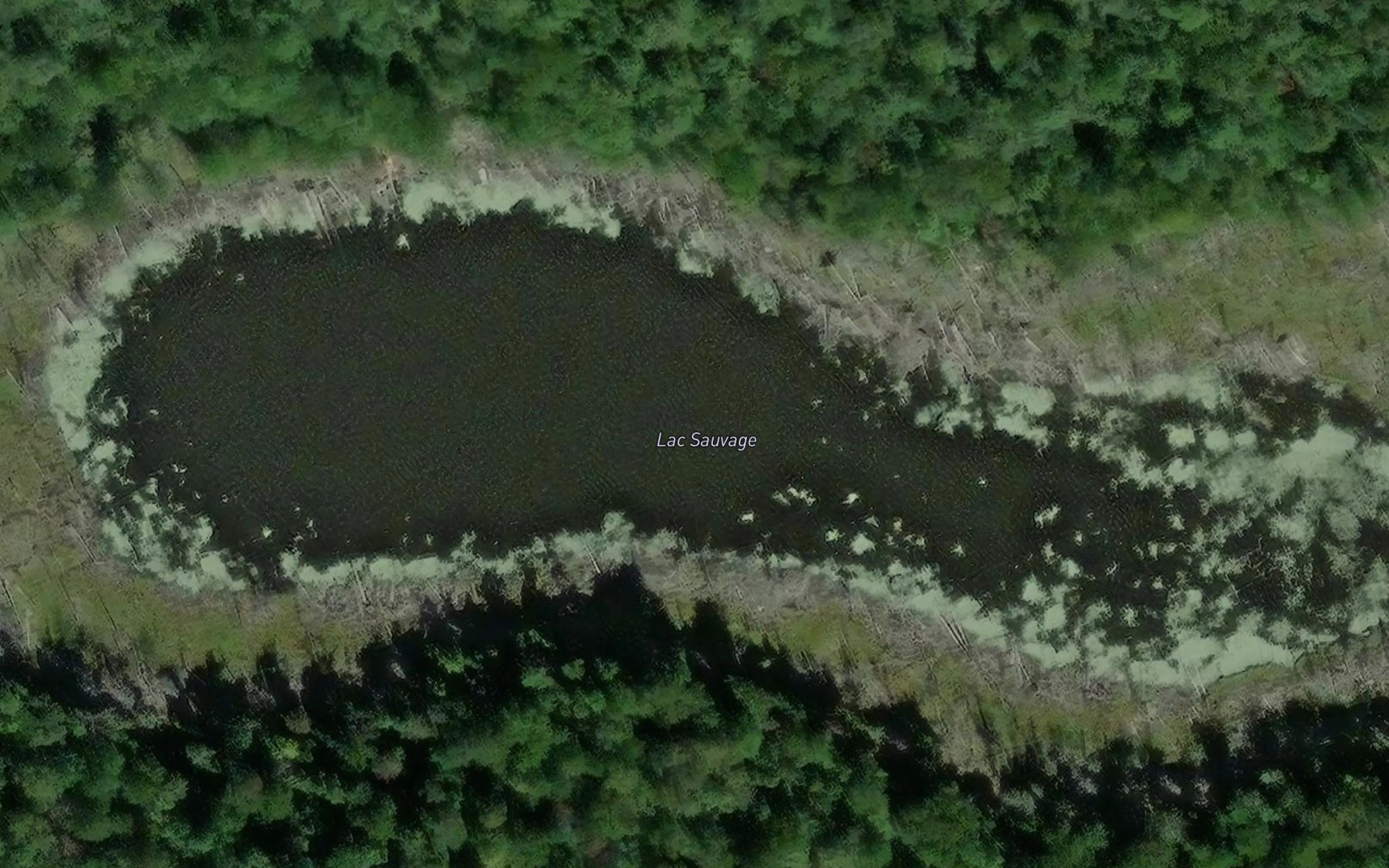 Satellite map of the Lac Sauvage