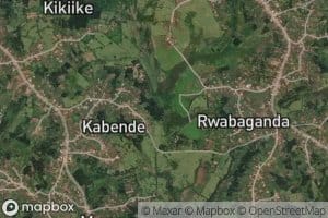 Nyamubwabwa