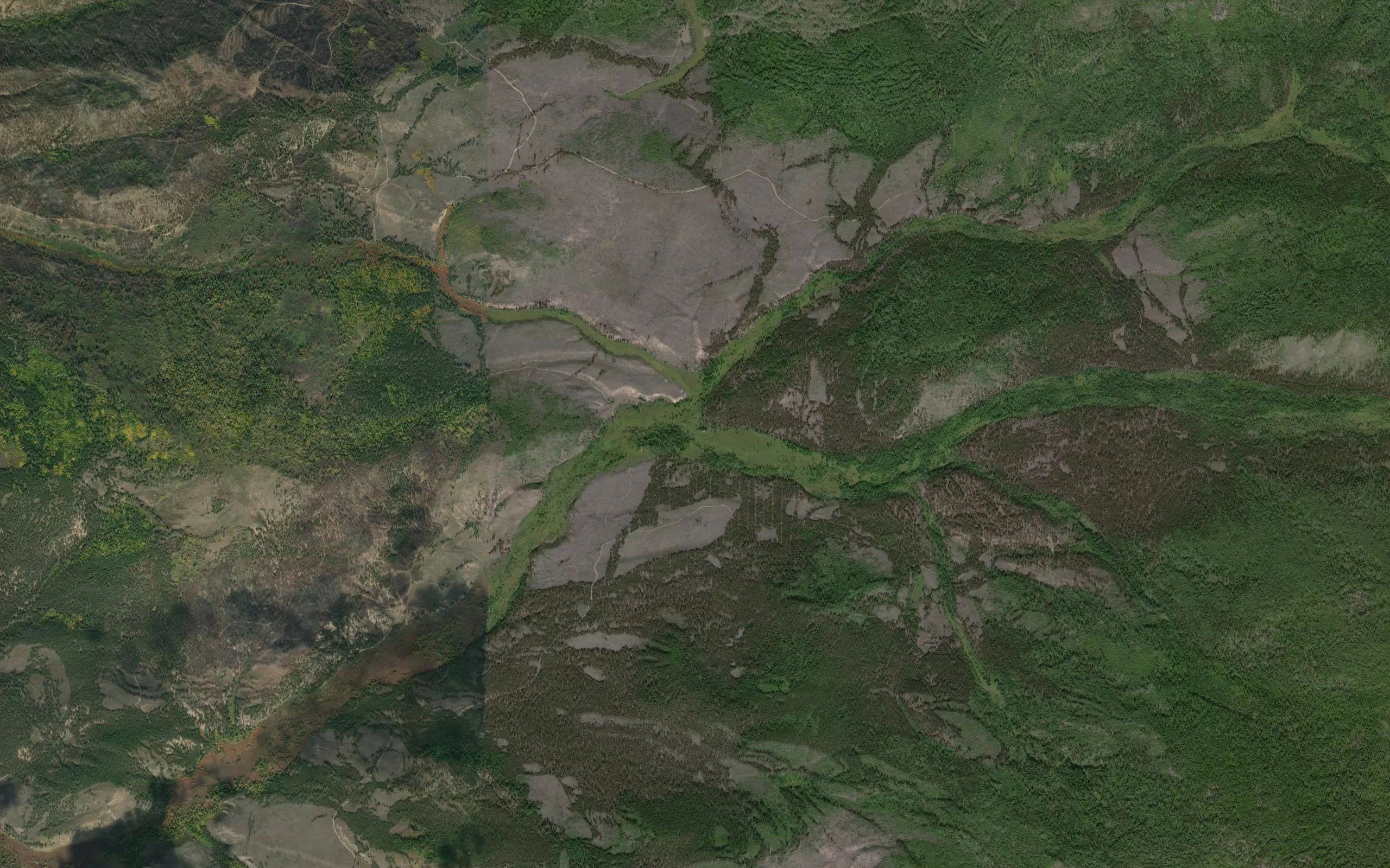 Korchevistyy