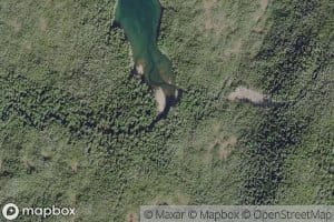 Oxalis Creek