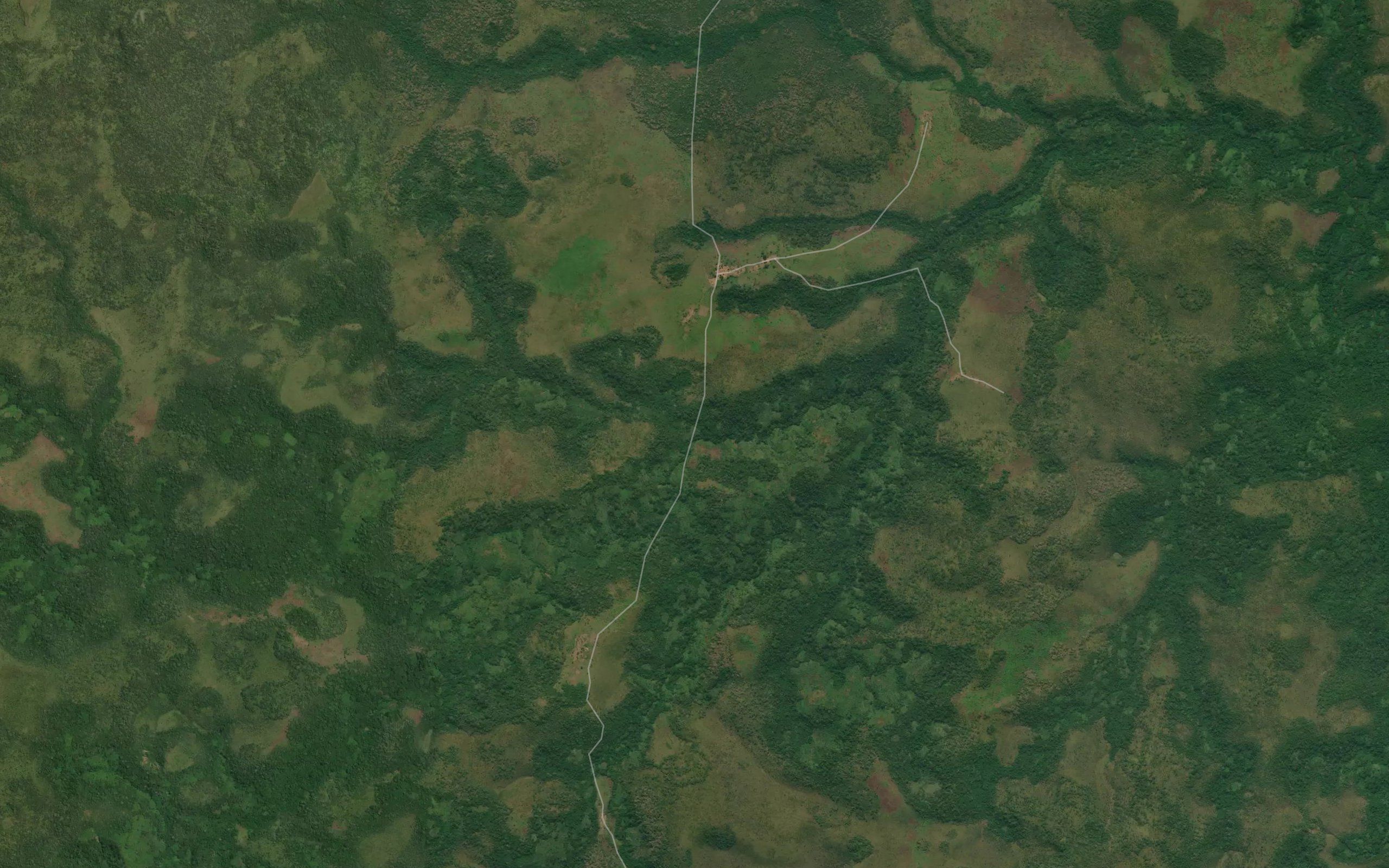 Mbibula