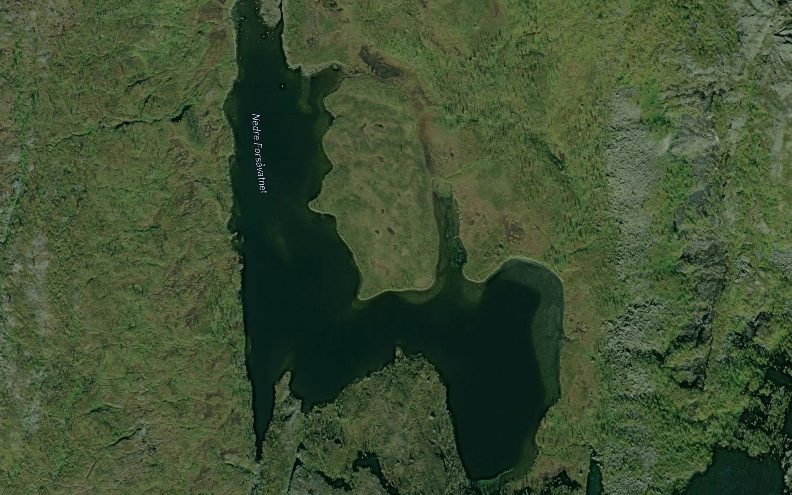 Forsavatnet,nedre