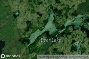 Deer Lake