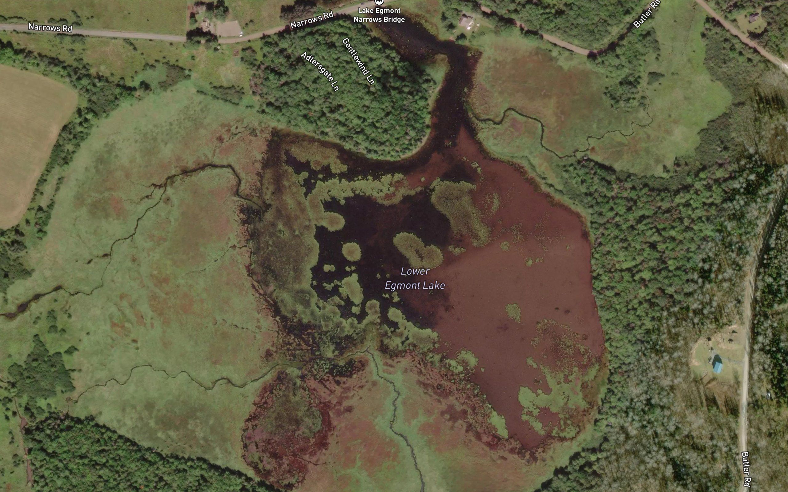 Lower Egmont Lake