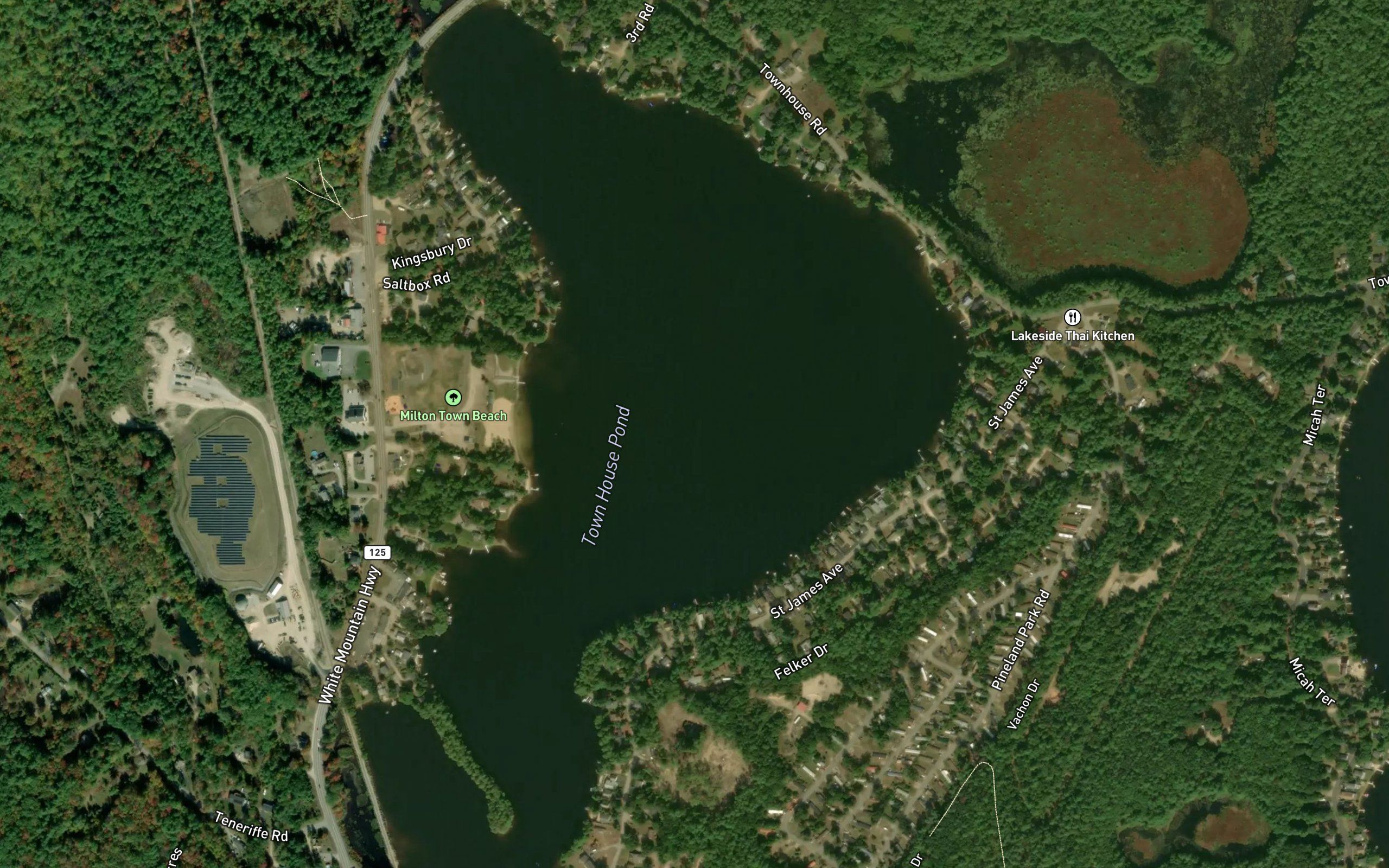 Town House Pond