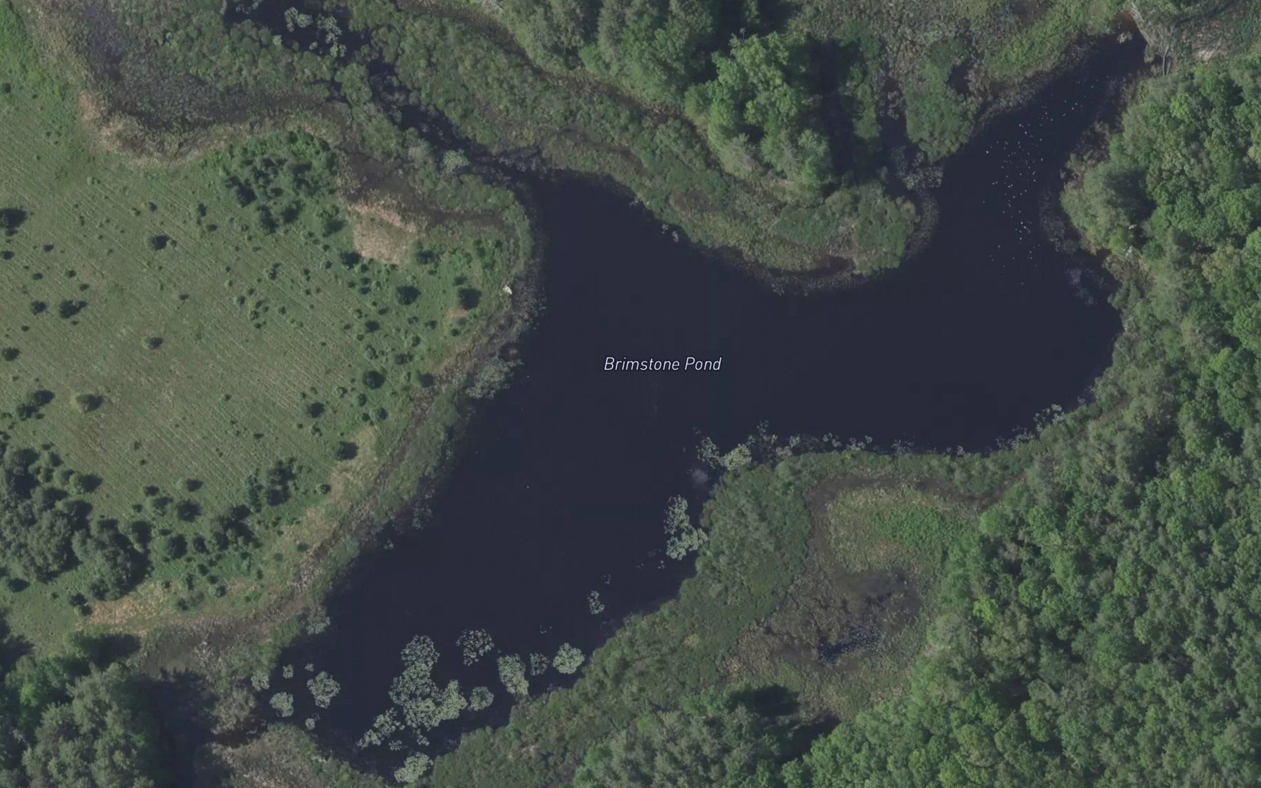 Brimstone Pond