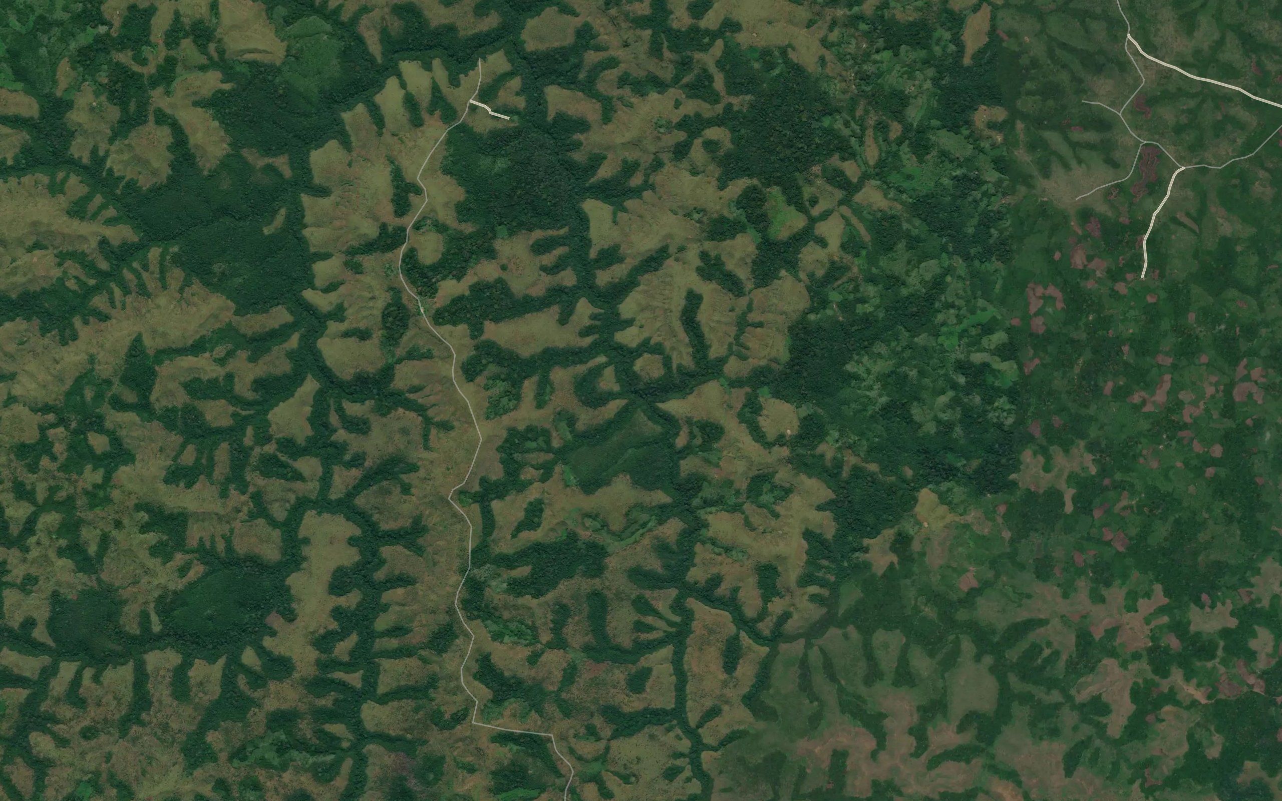 Tchiba