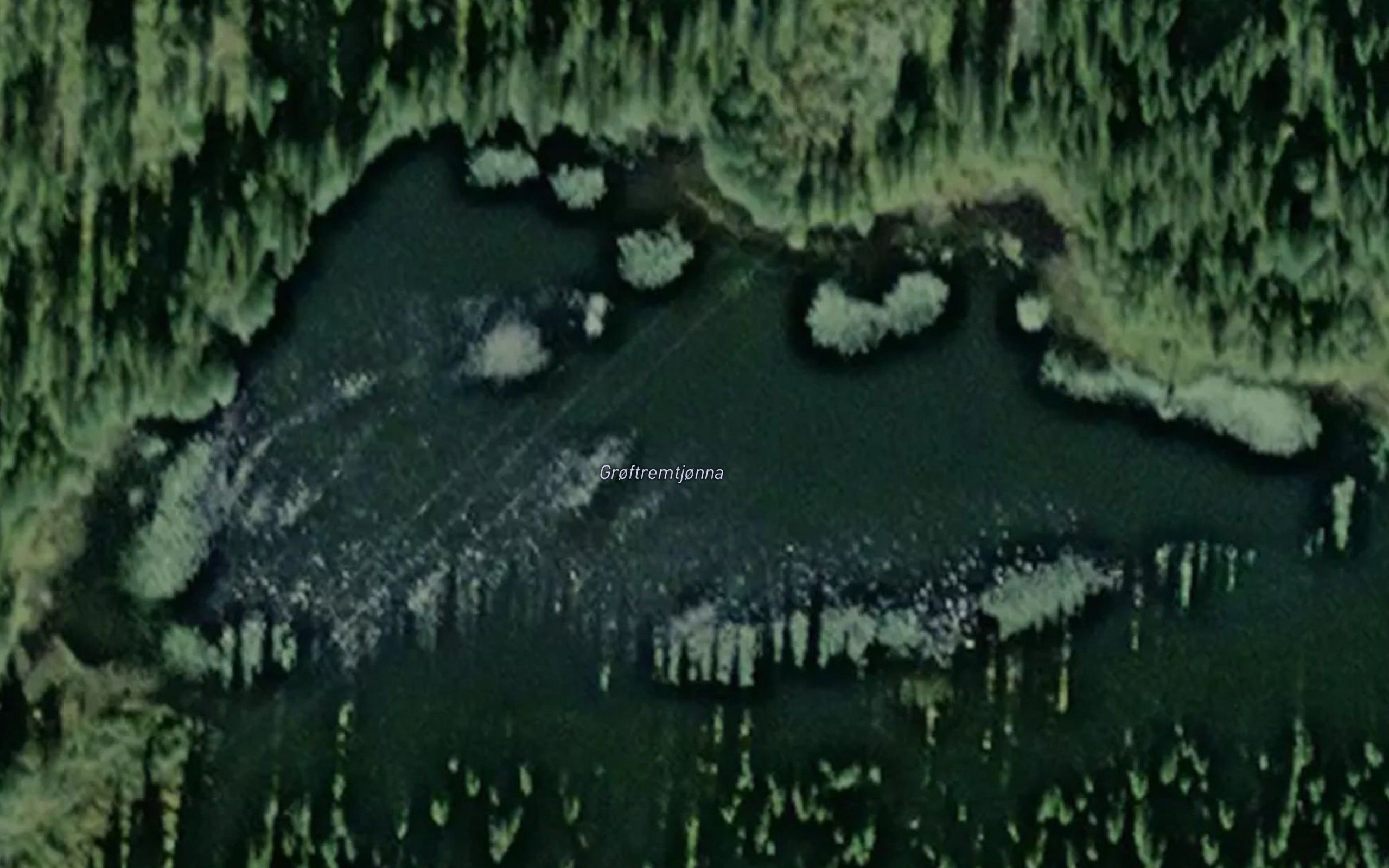Groftremtjorna