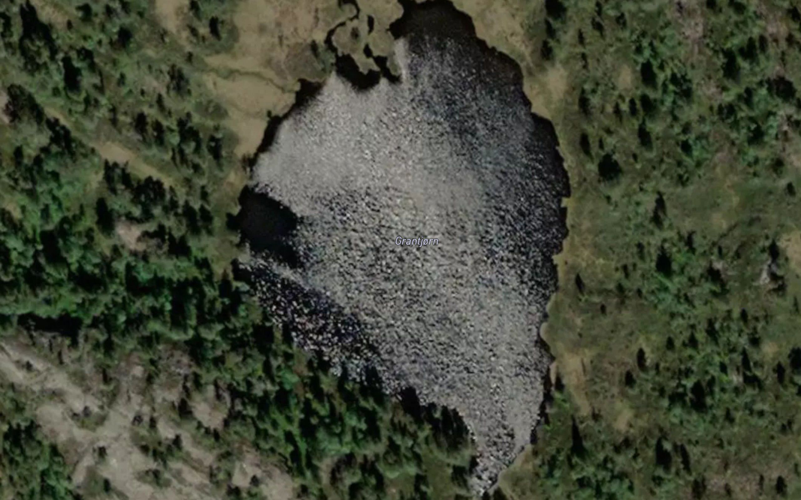 Grantjorn
