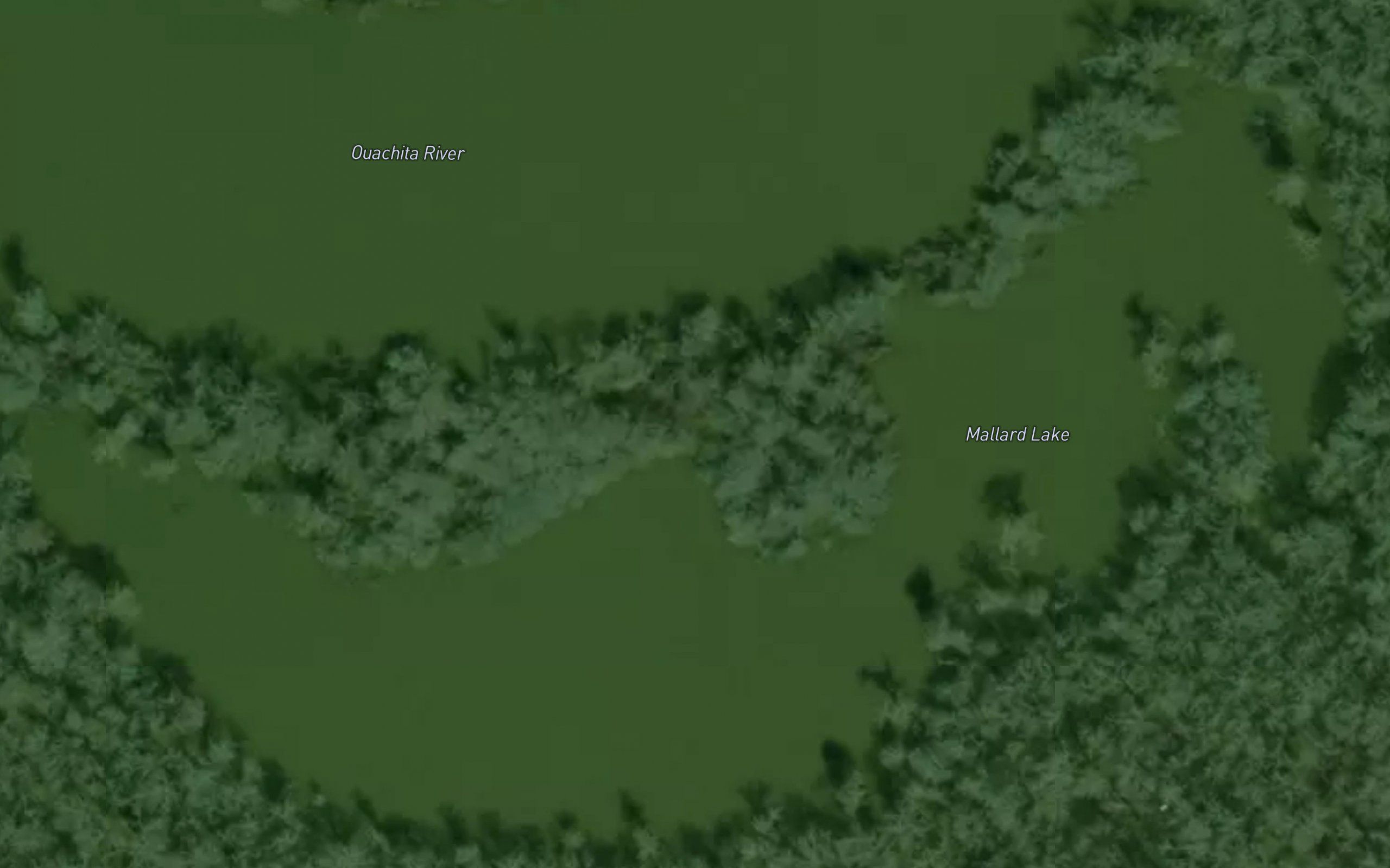 Mallard Lake