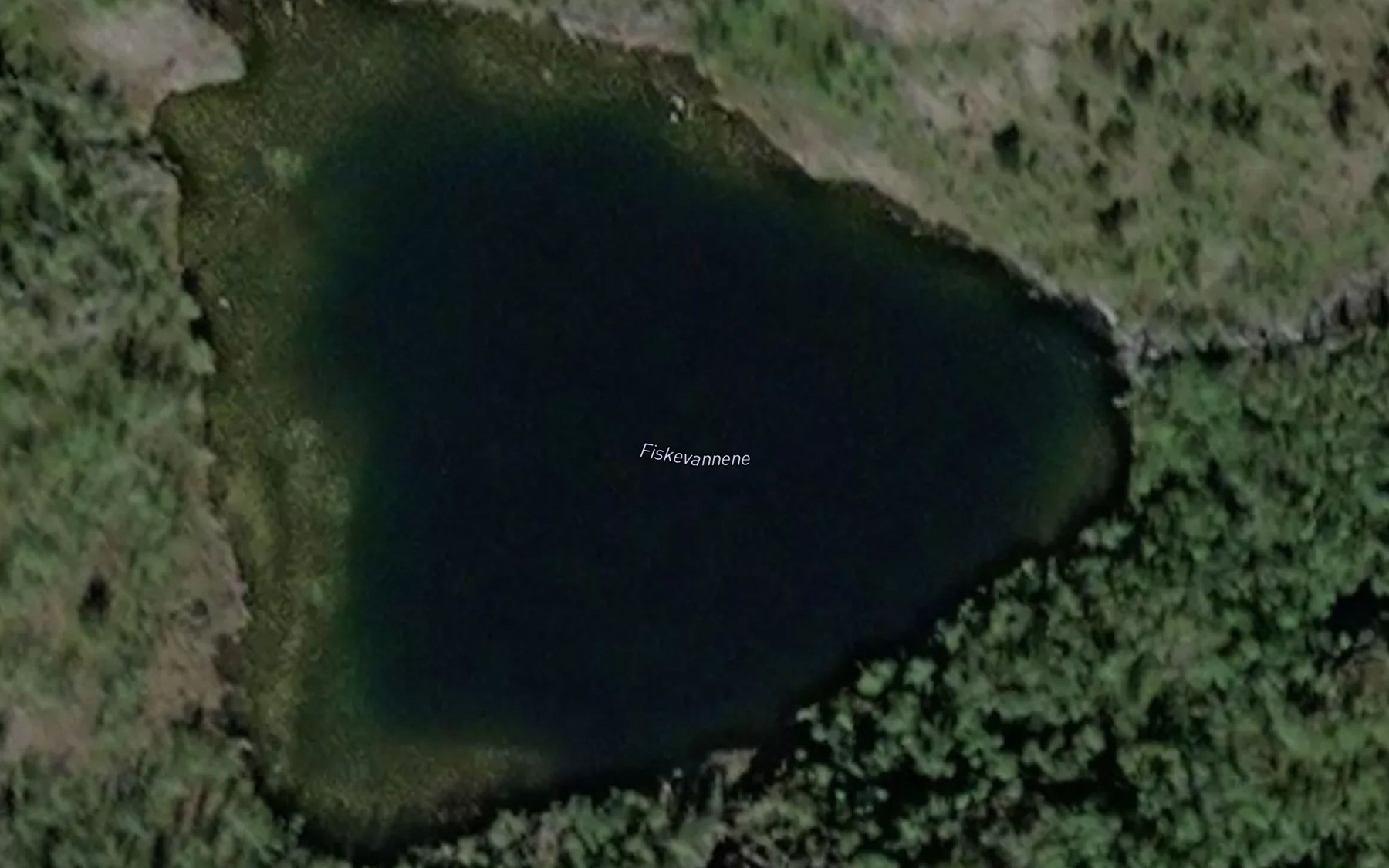 Satellite map of the Fiskevatna