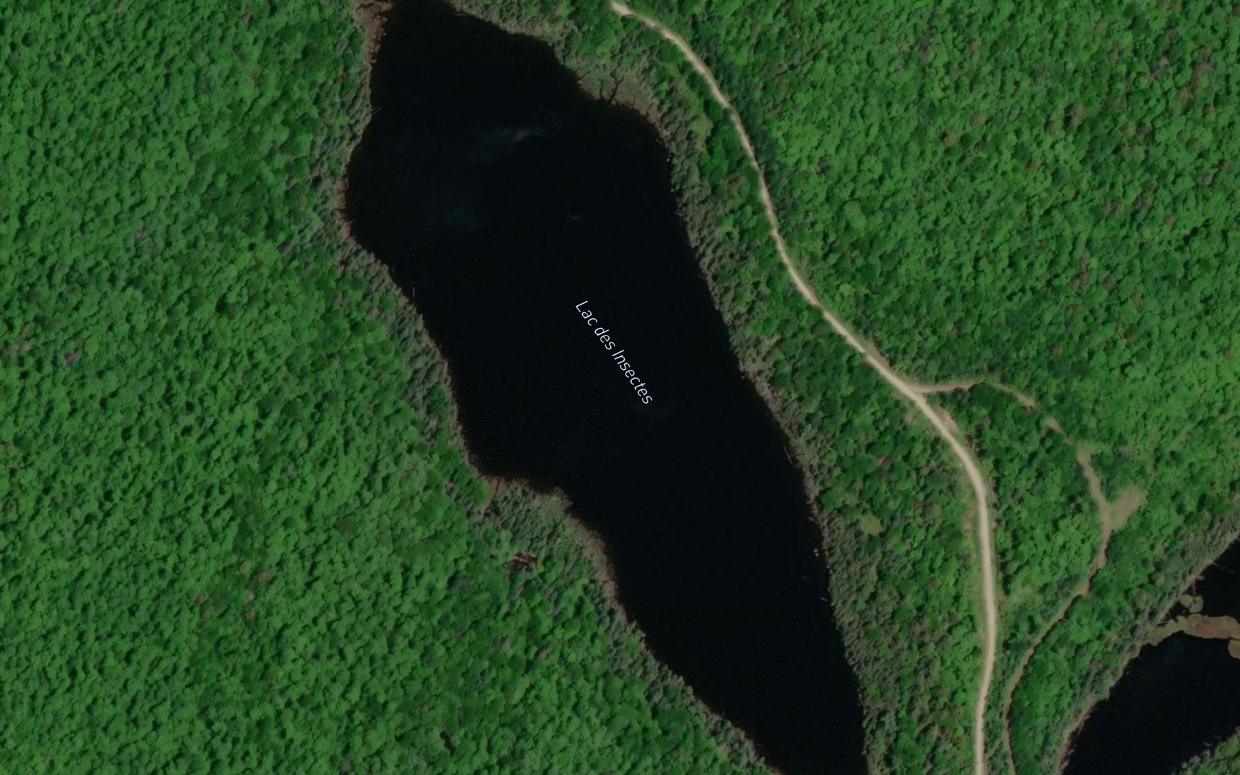 Satellite map of the Lac des Insectes