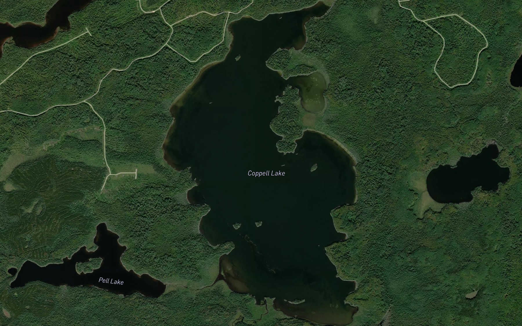 Satellite map of the Coppell Lake