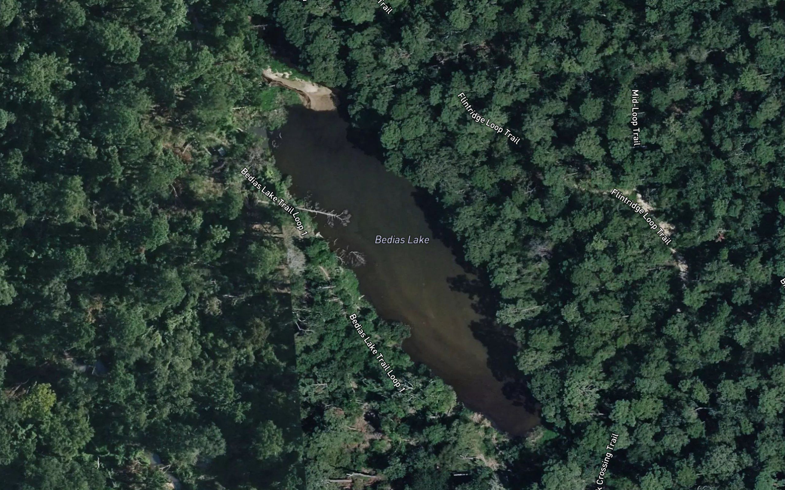 Bedias Lake