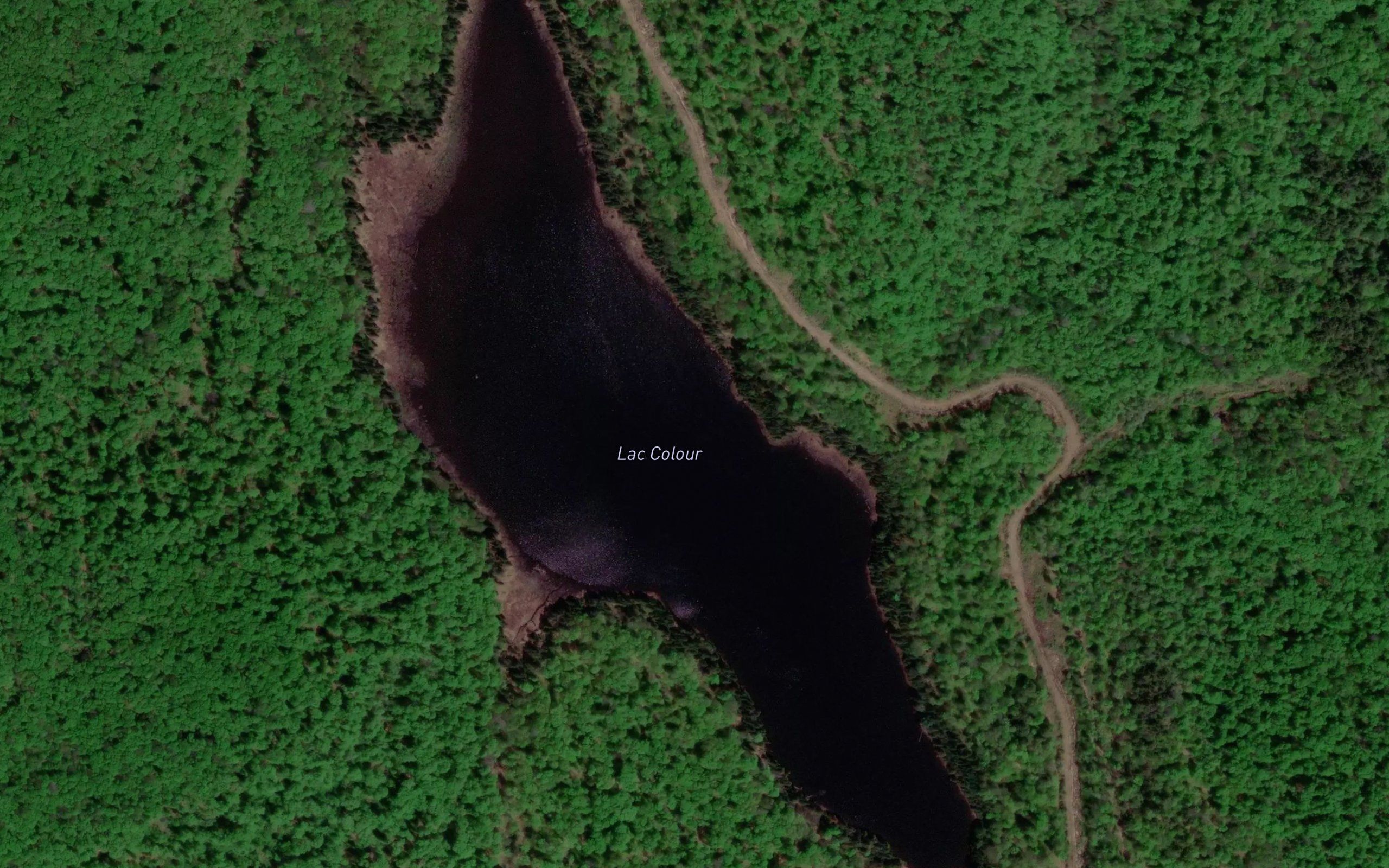 Lac Colour