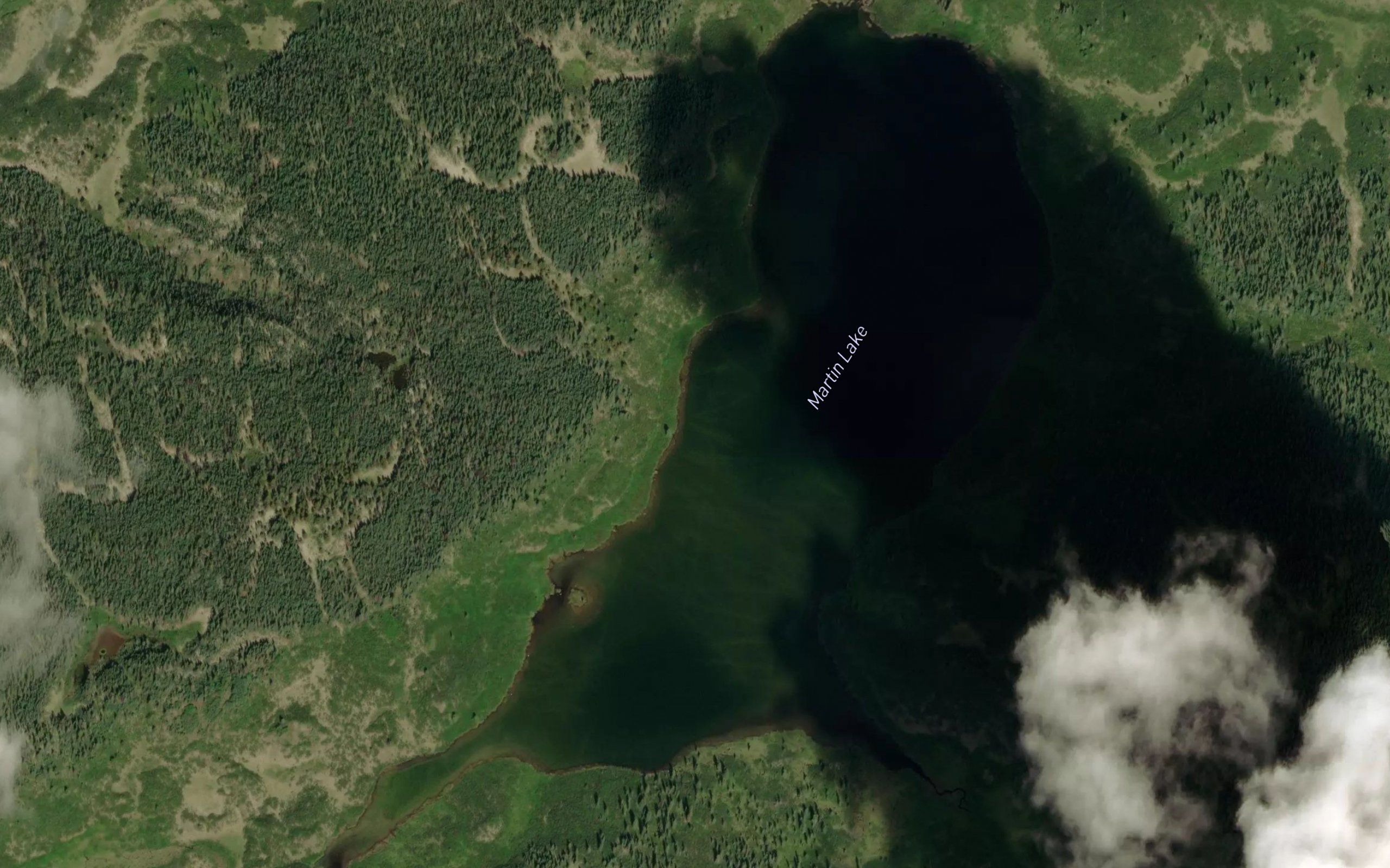 Martin Lake
