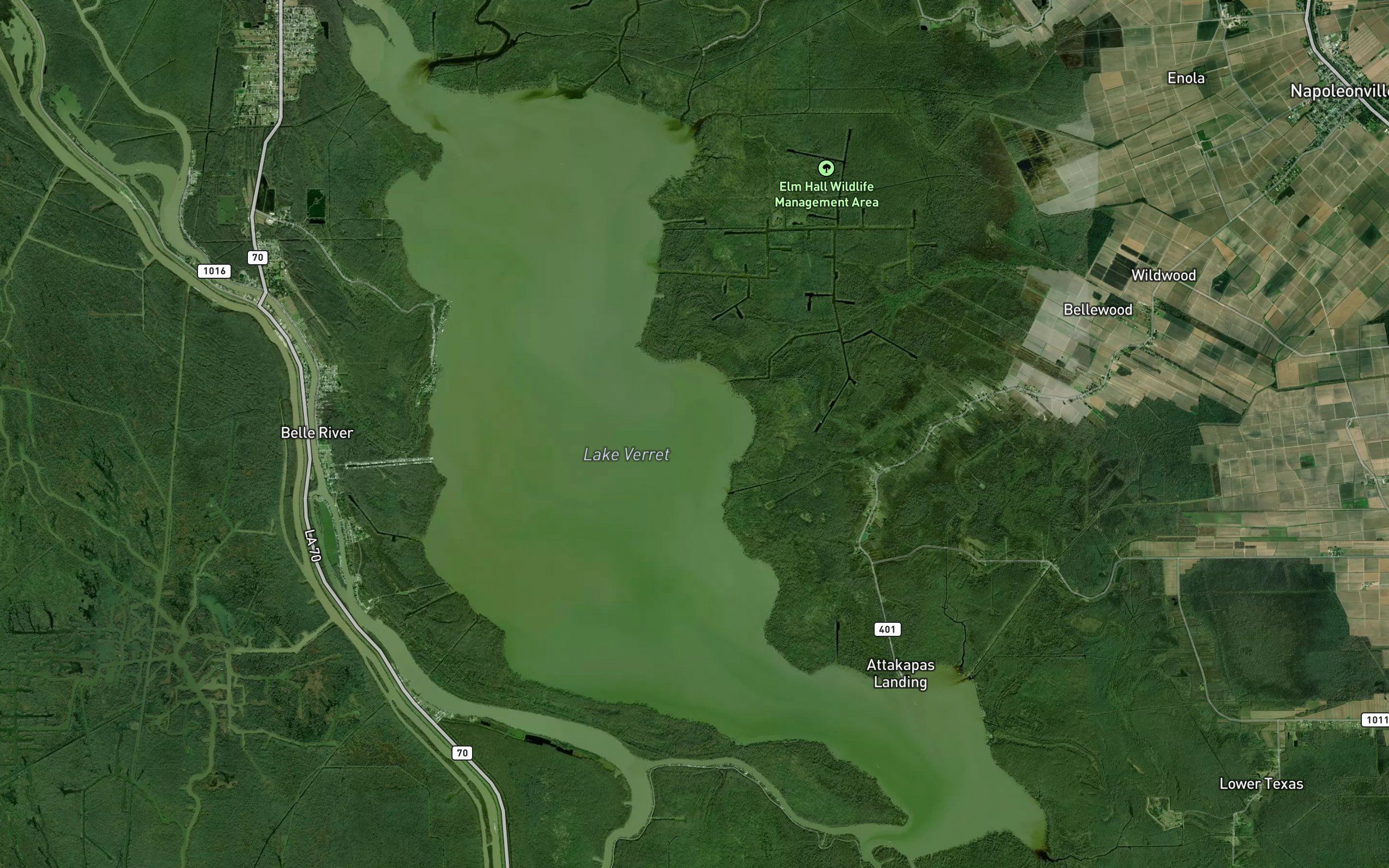 Lake Verret