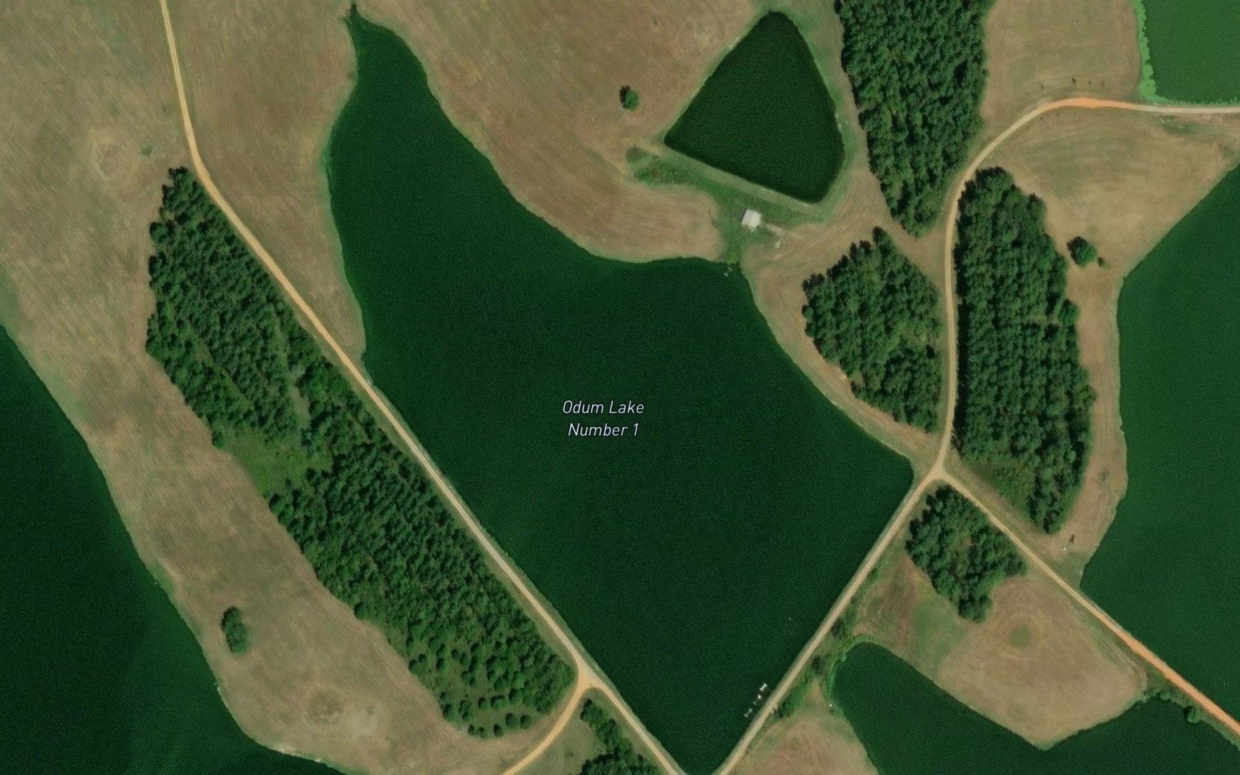Satellite map of the Odum Lake Number 1