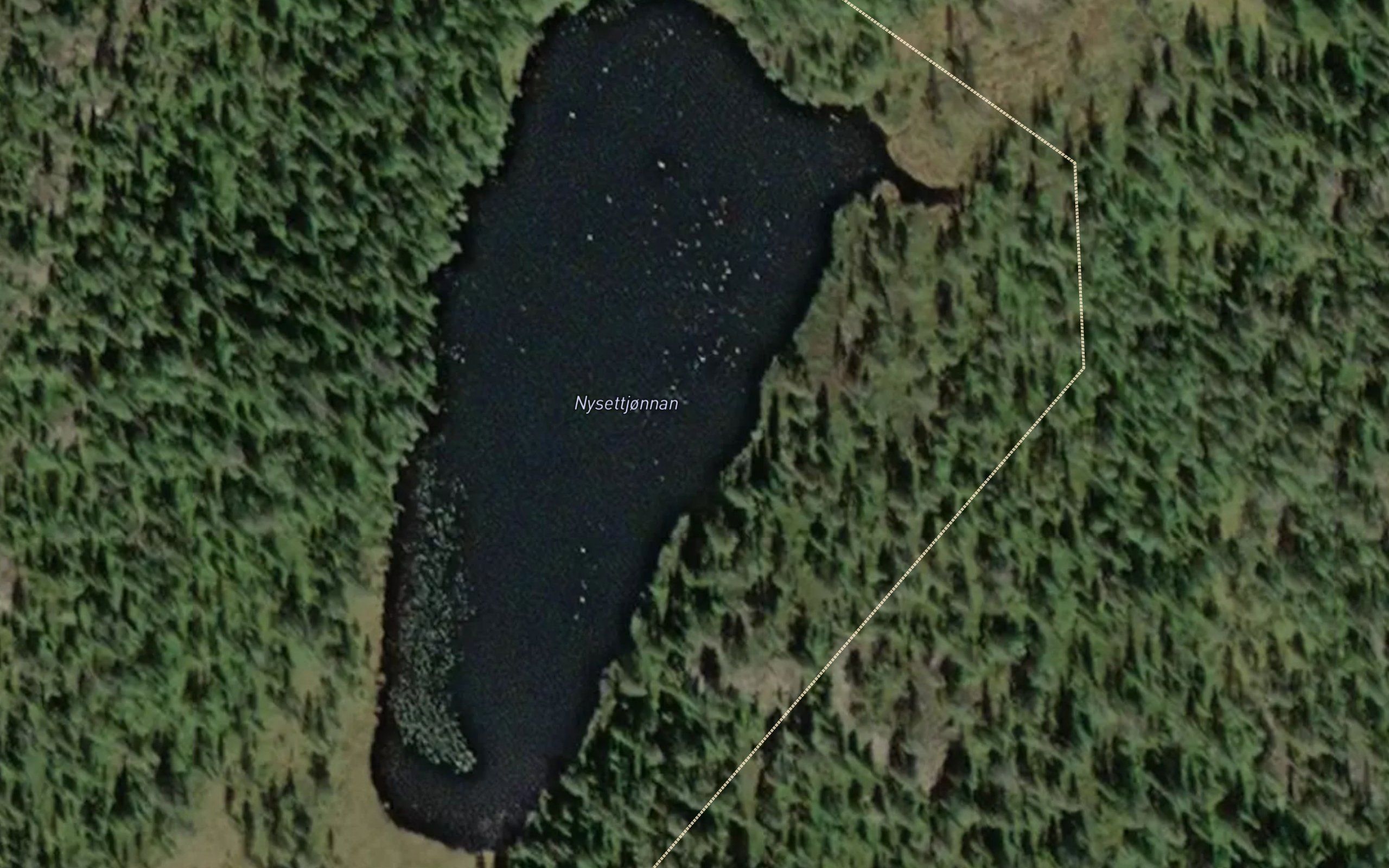 Nysettjonnan