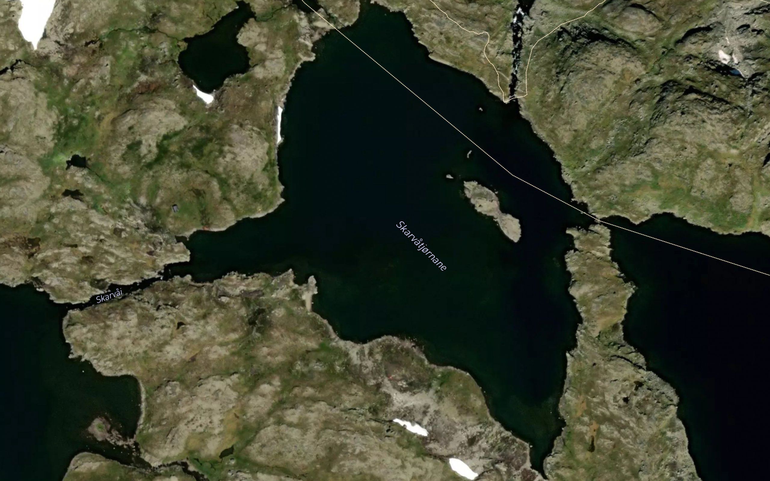 Skarvatjornane