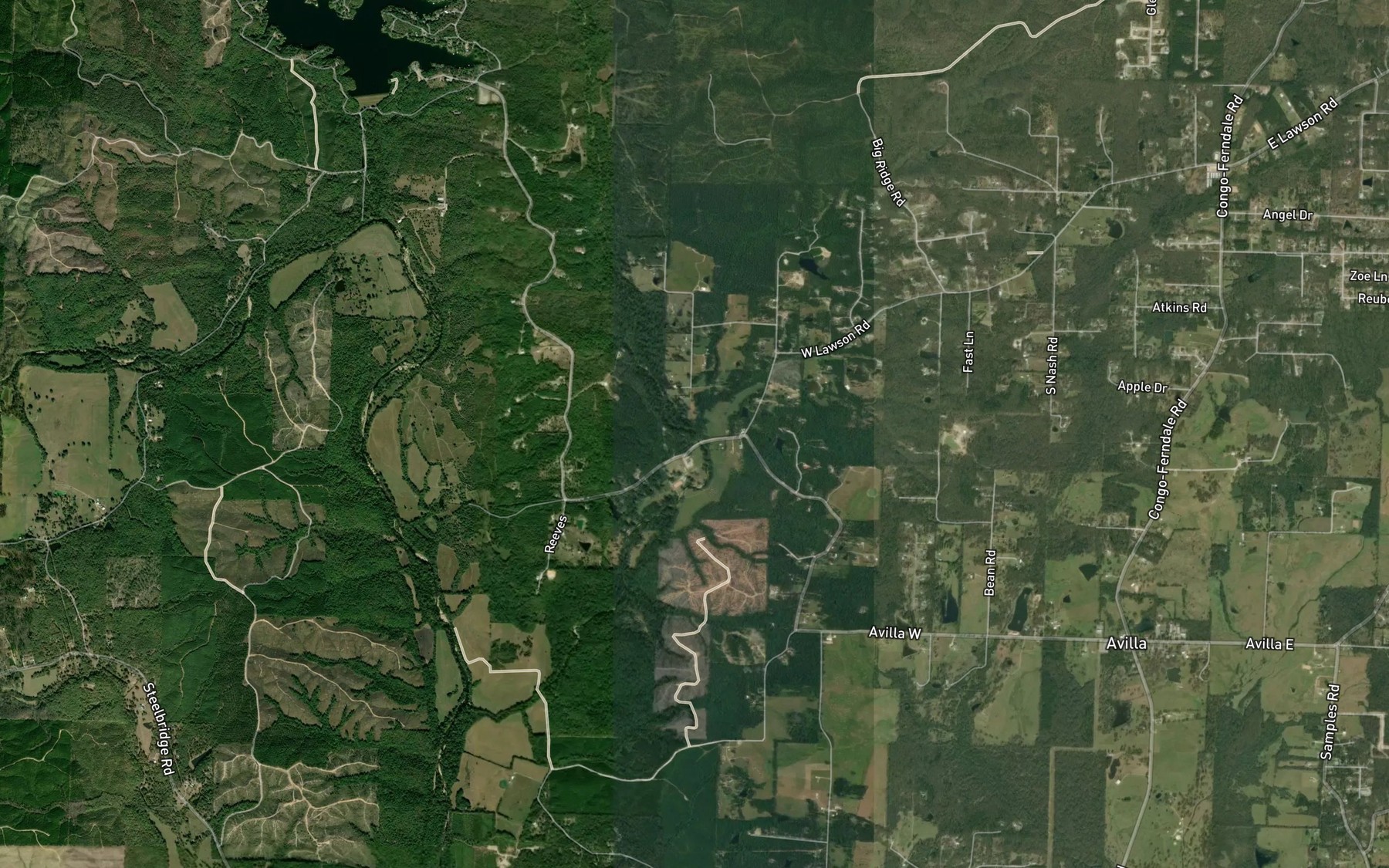 Satellite map of the Big Branch