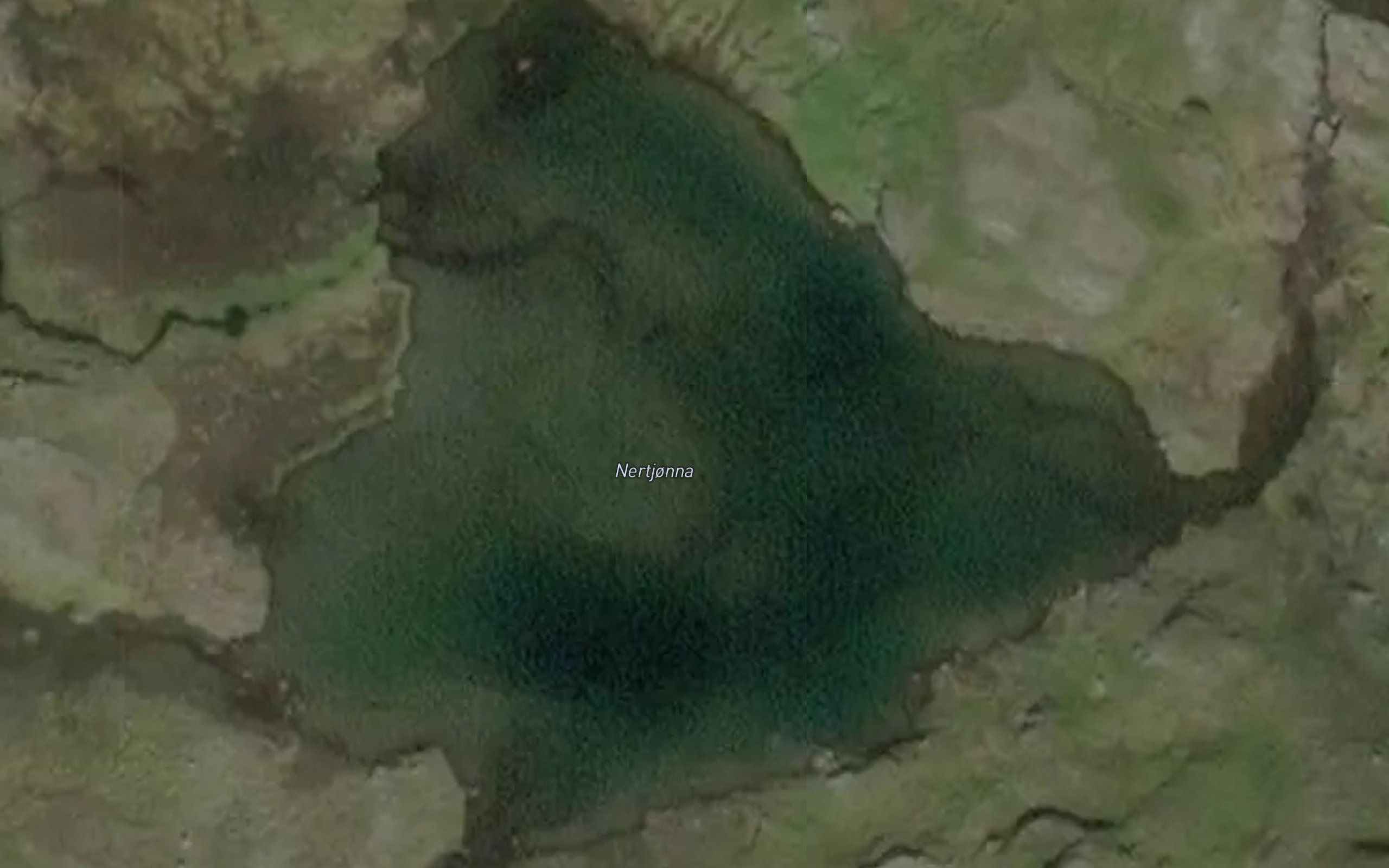 Nertjonna