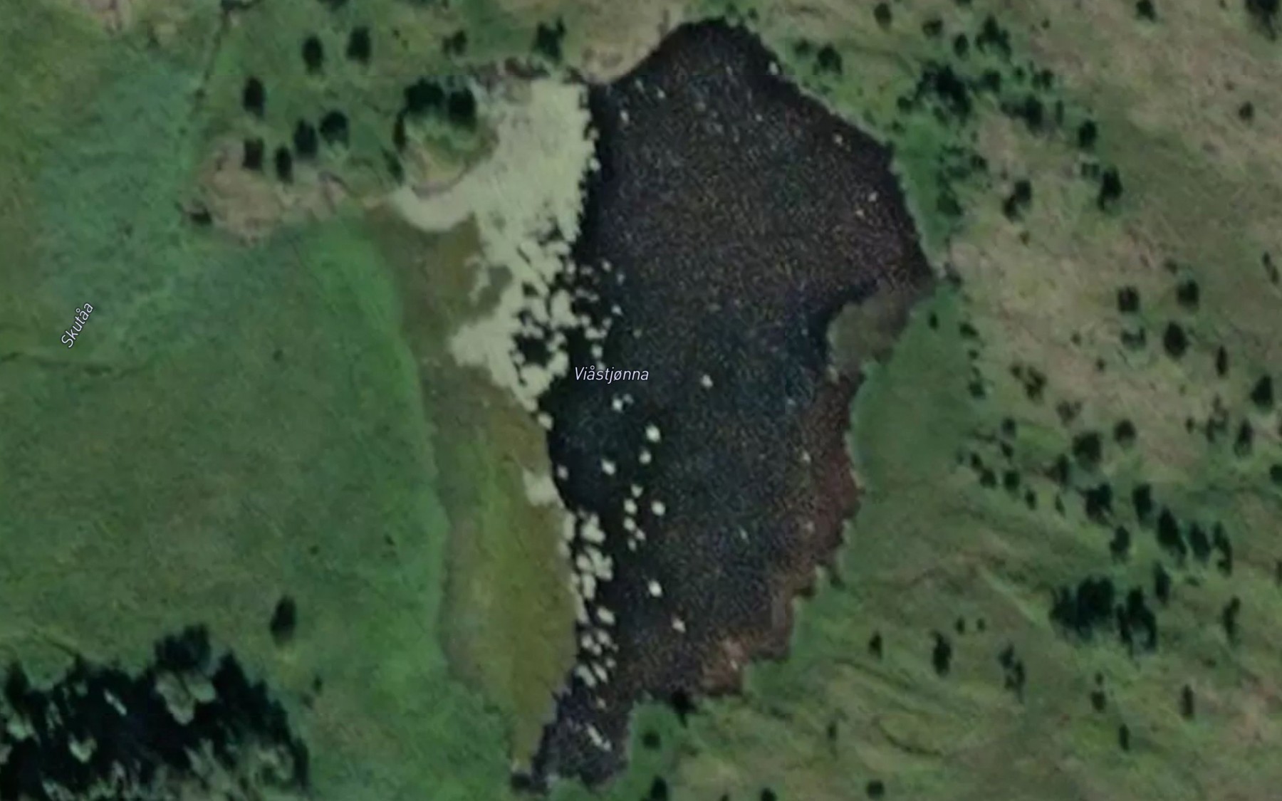 Satellite map of the Viastjonna