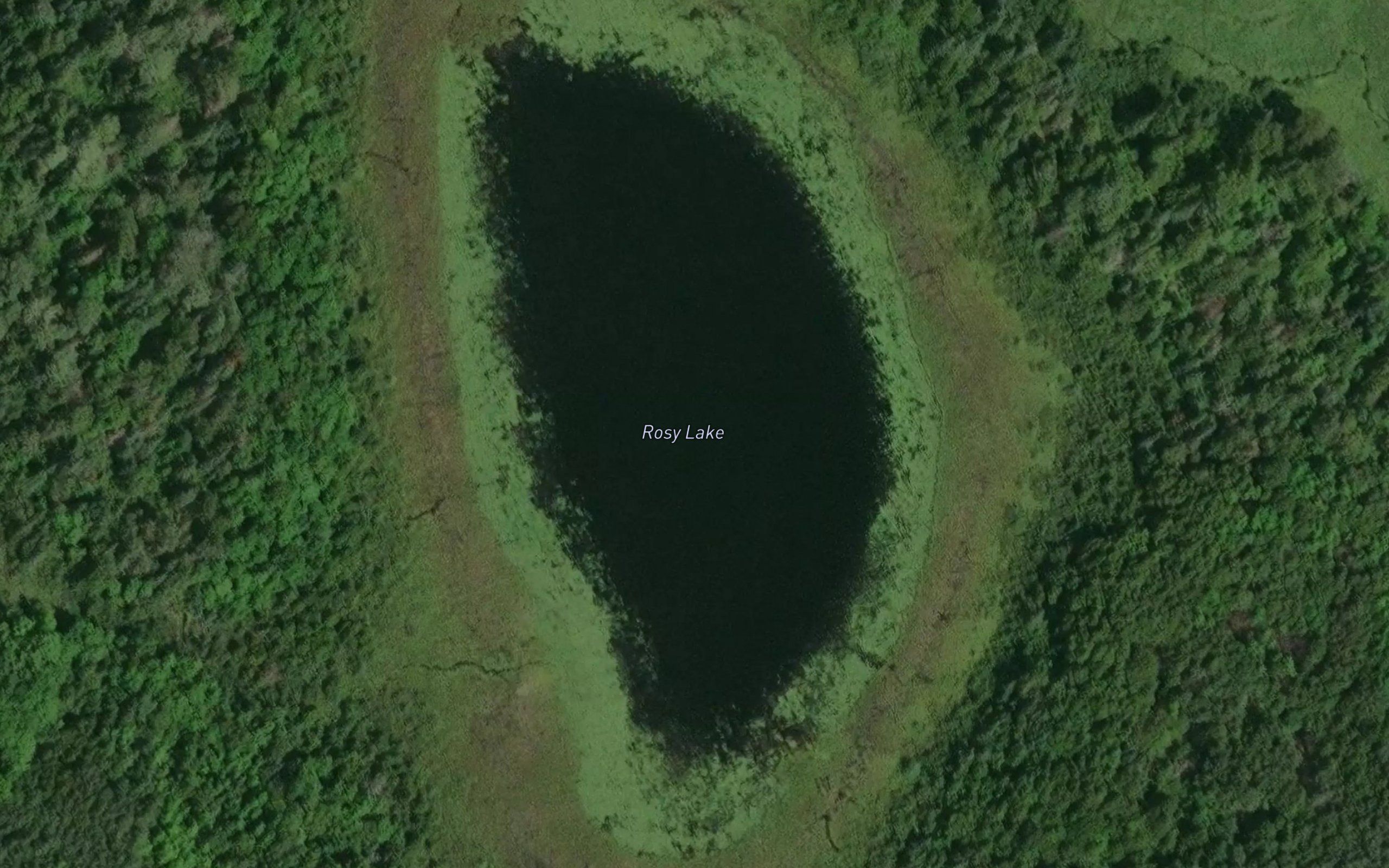 Rosy Lake