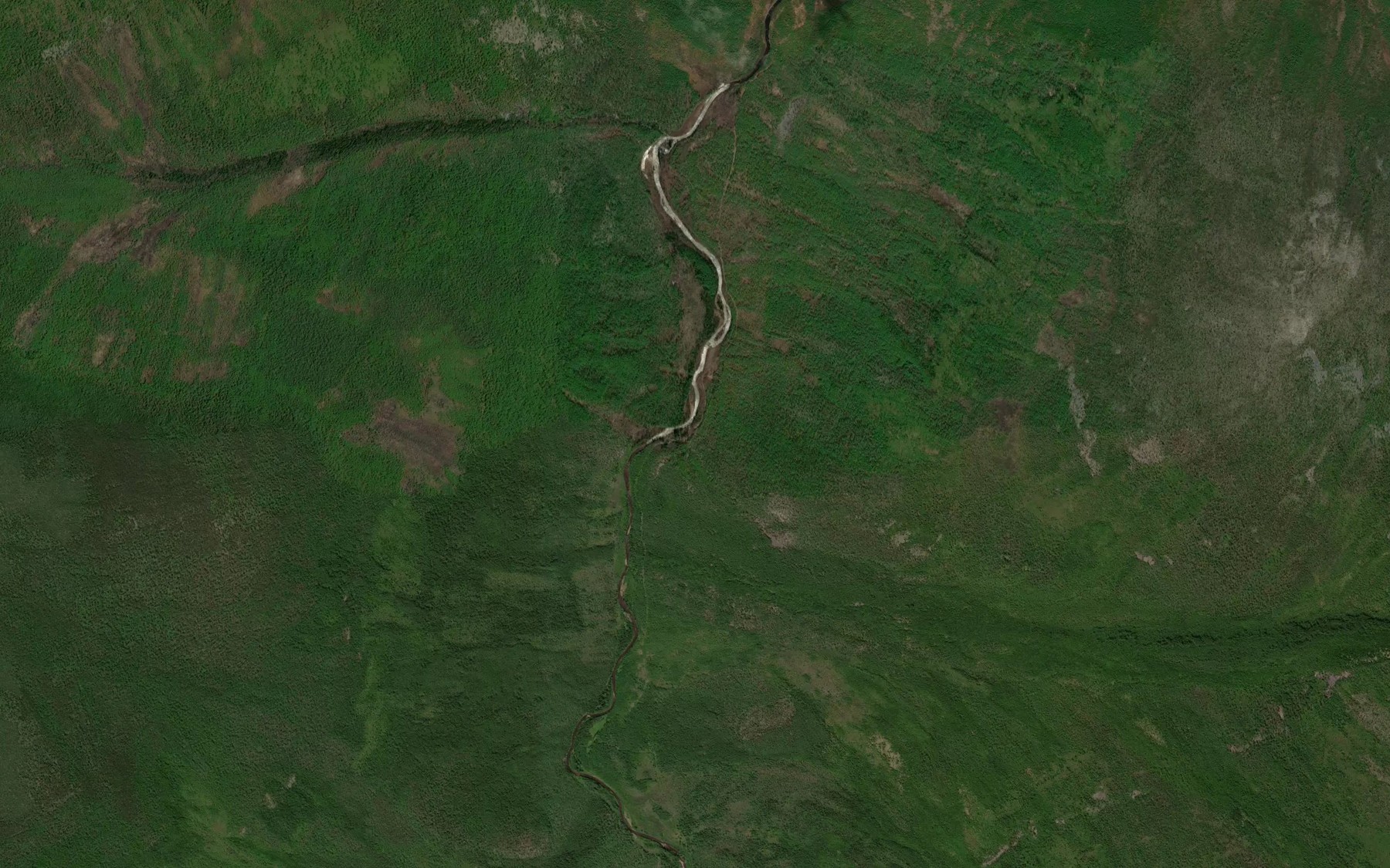 Satellite map of the Lesistyy