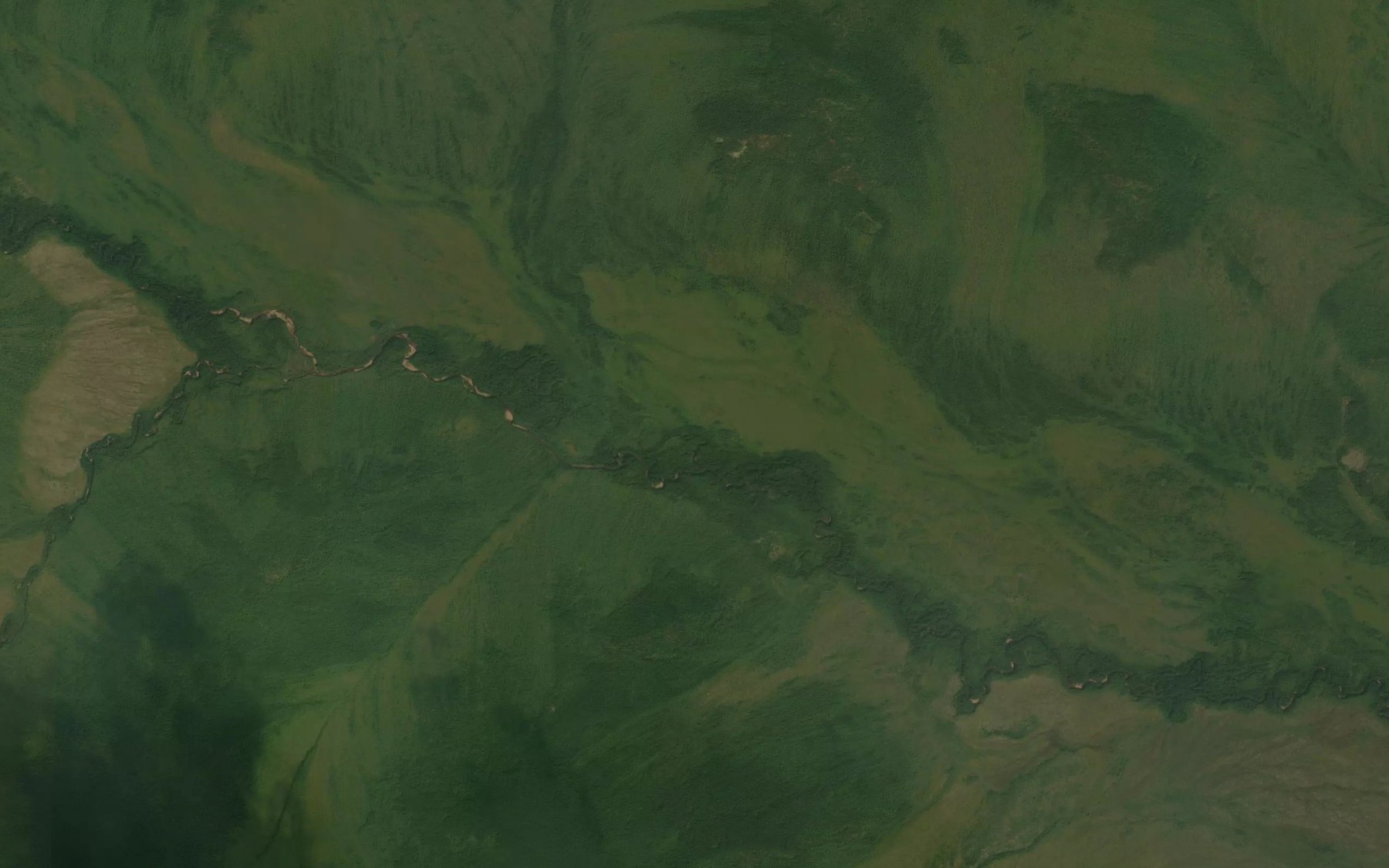 Satellite map of the Lesnoy