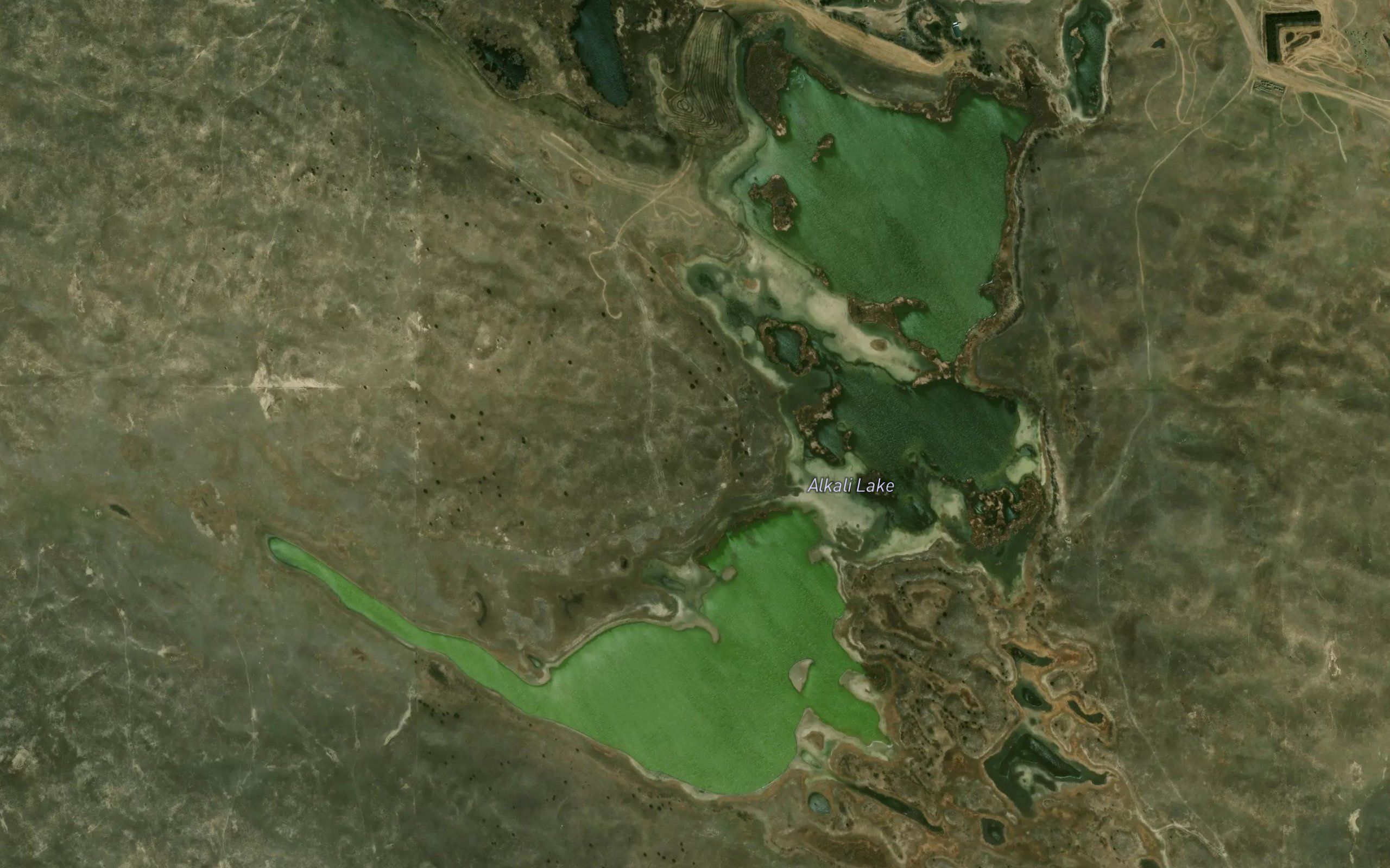 Alkali Lake