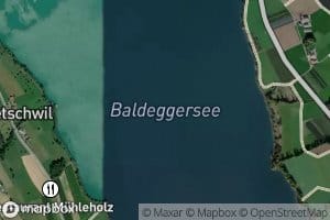 Baldeggersee