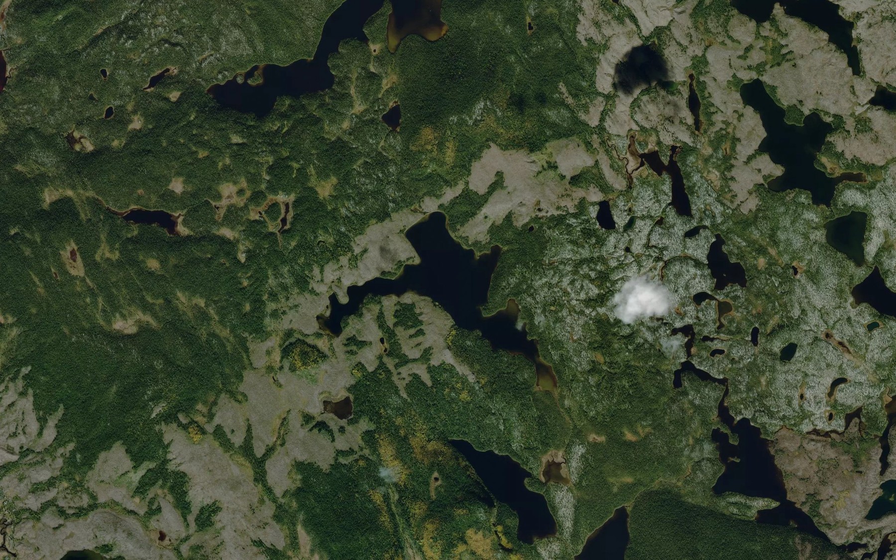Satellite map of the Lac de l'Oiseau
