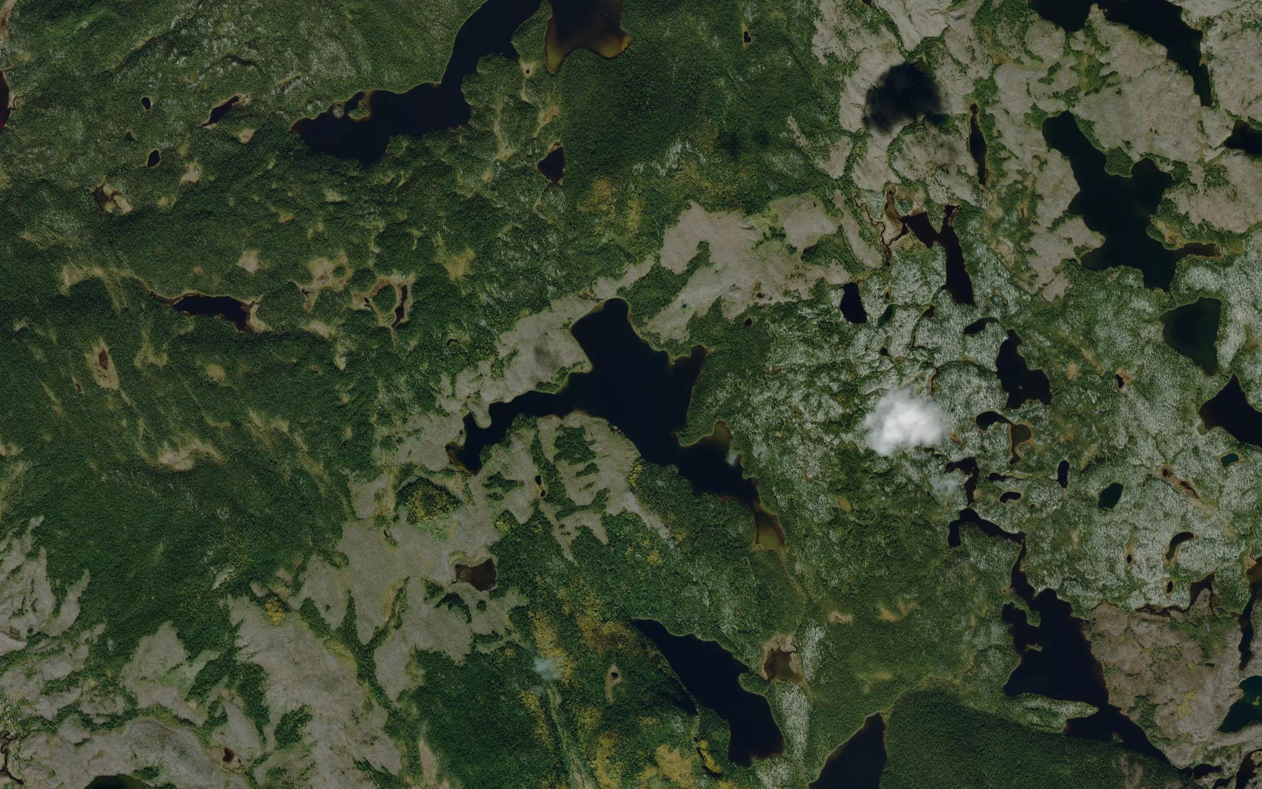 Lac de l'Oiseau