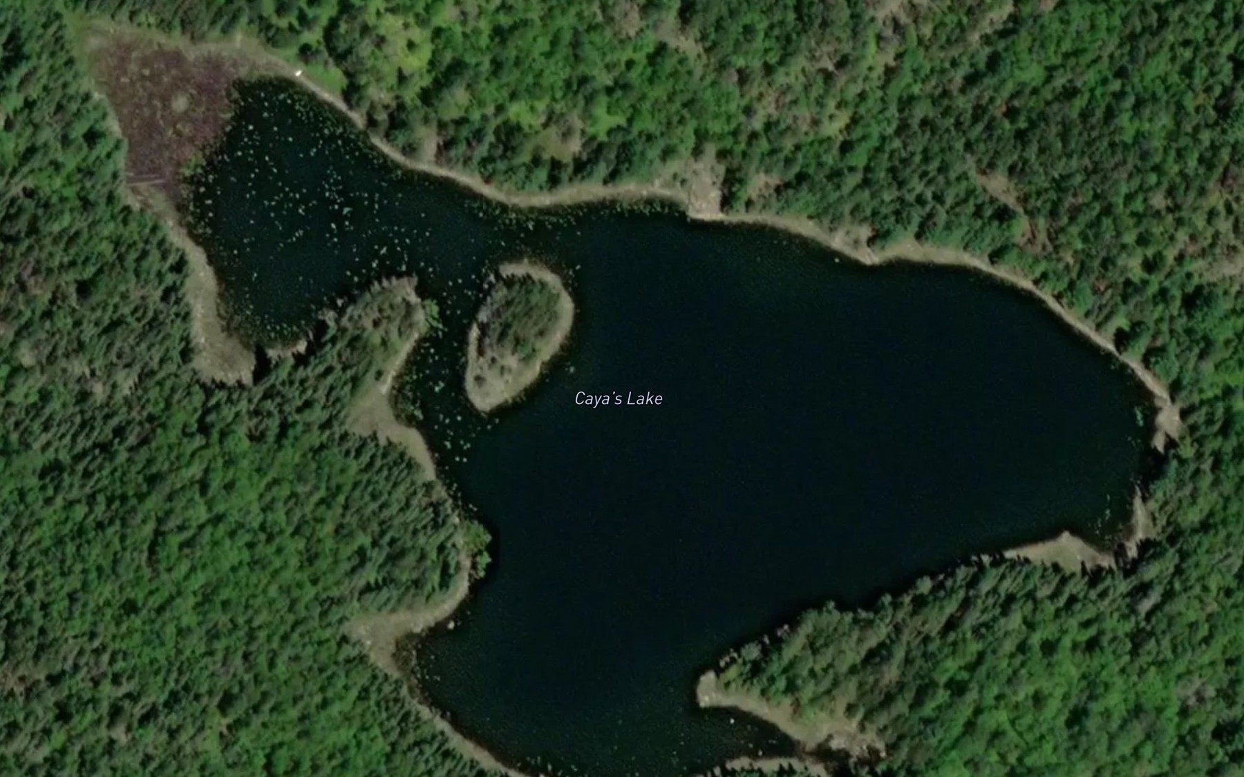 Satellite map of the Caya's Lake