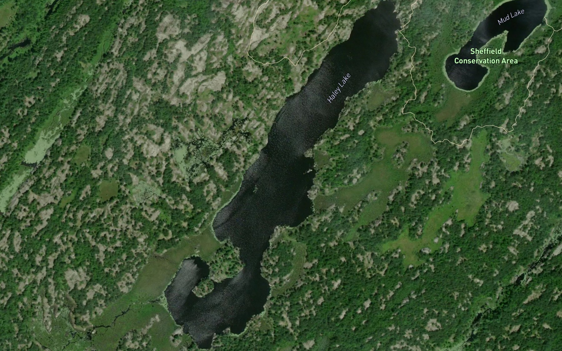 Satellite map of the Haley Lake