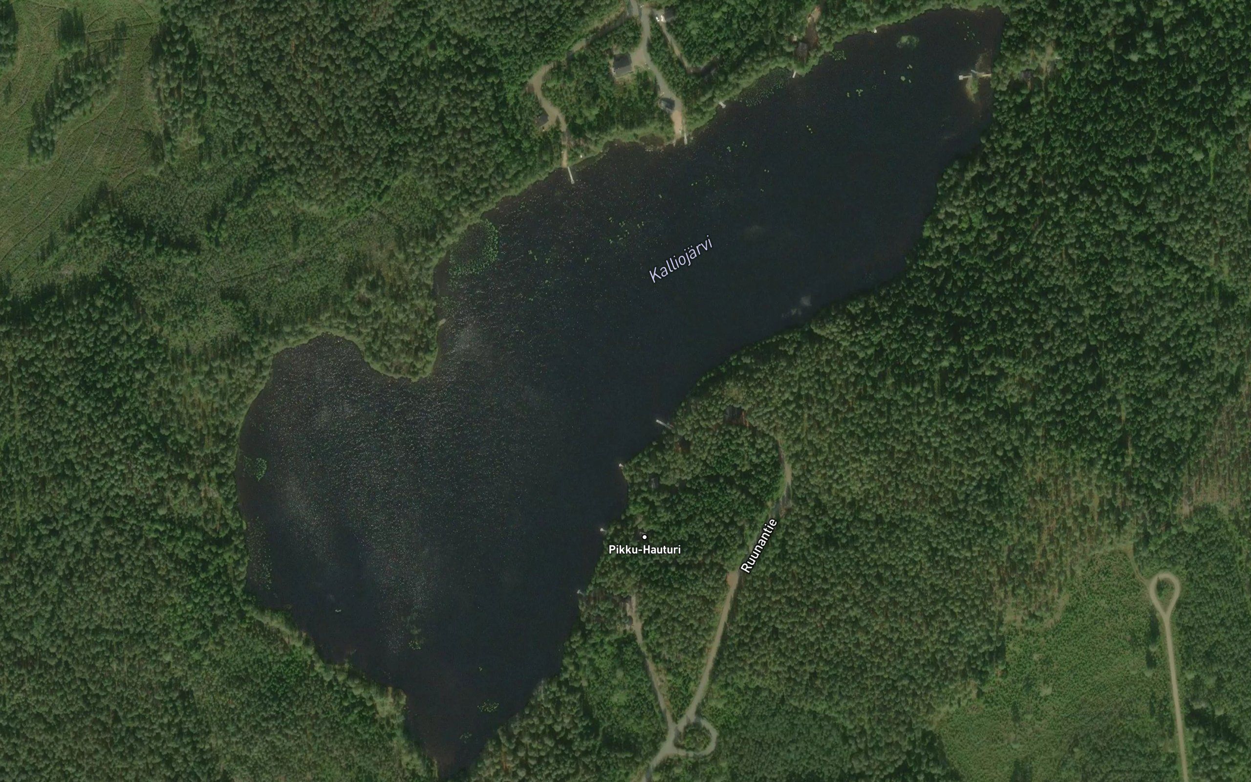 Kalliojarvi