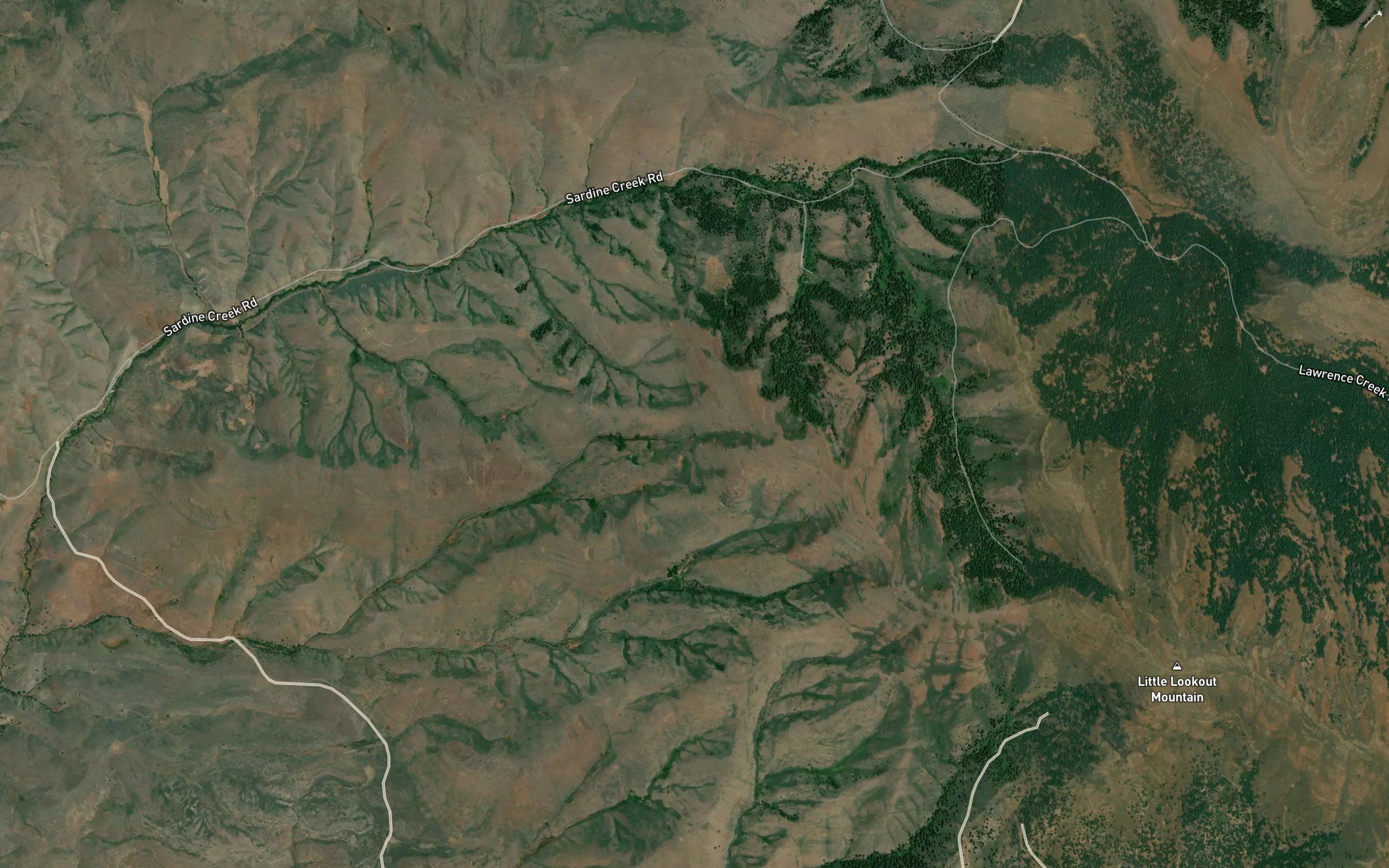 Black Springs