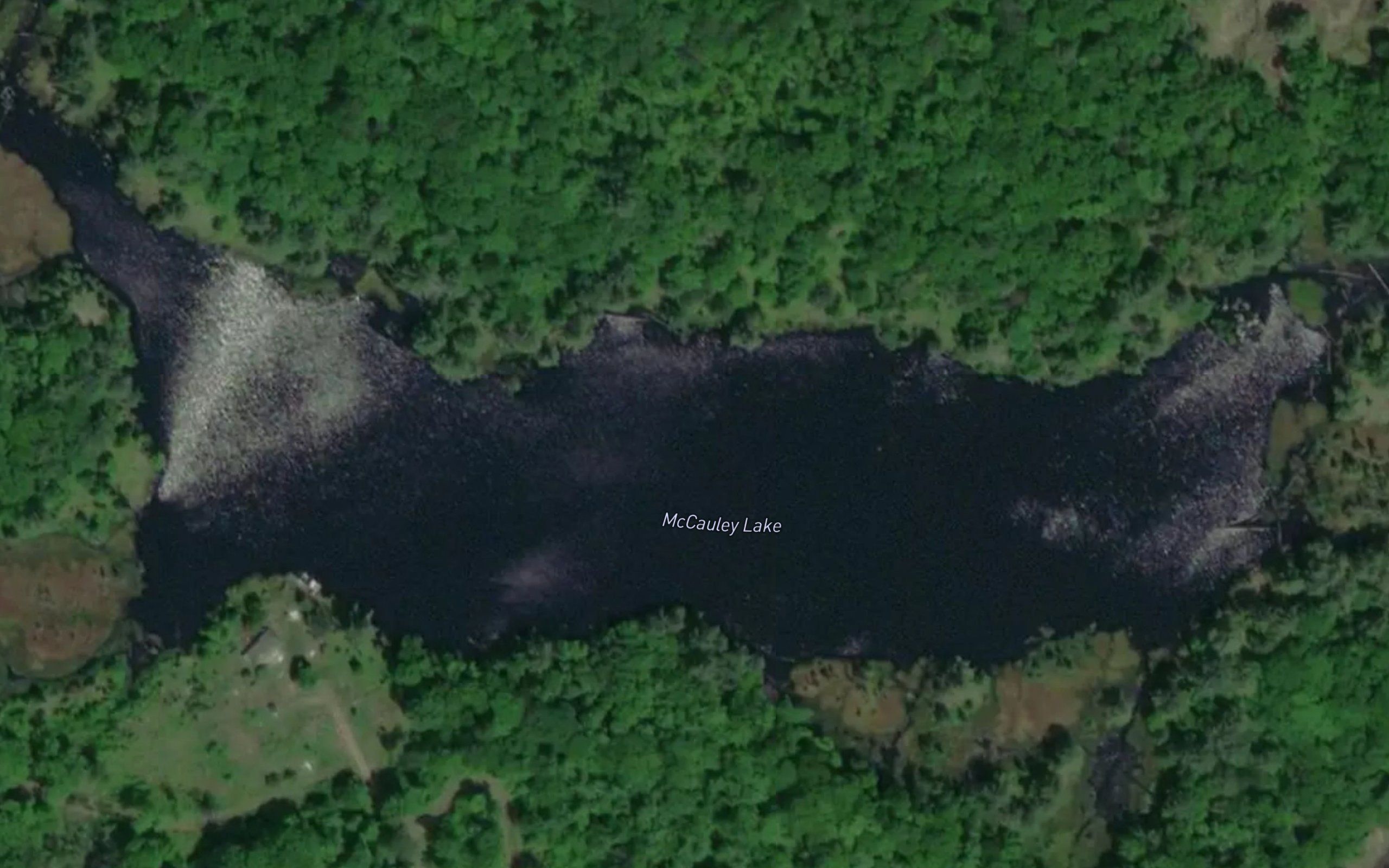 McCauley Lake