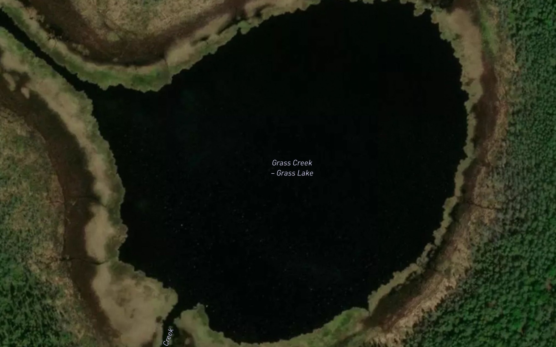 Satellite map of the Grass Lake