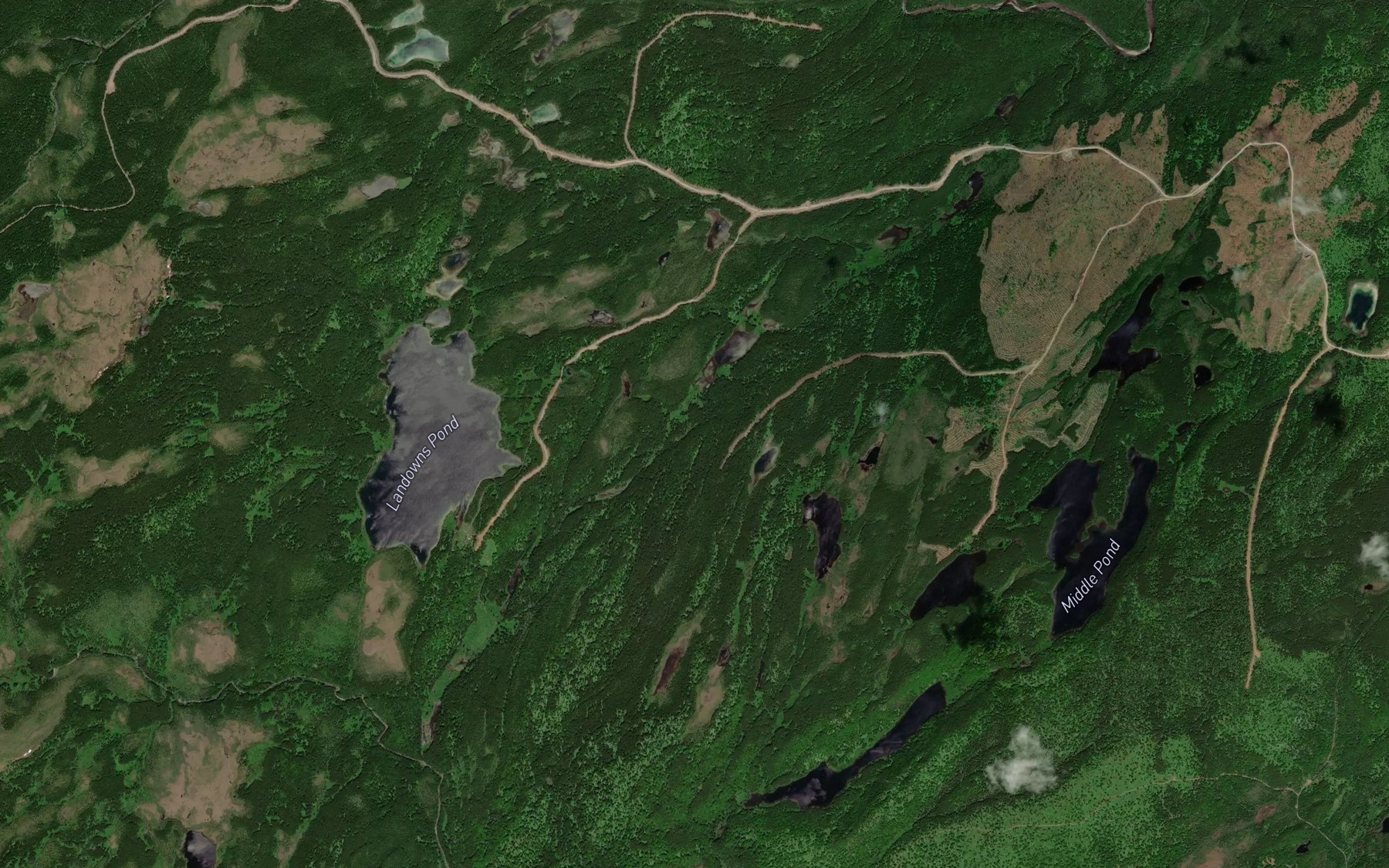 Satellite map of the Otter Pond