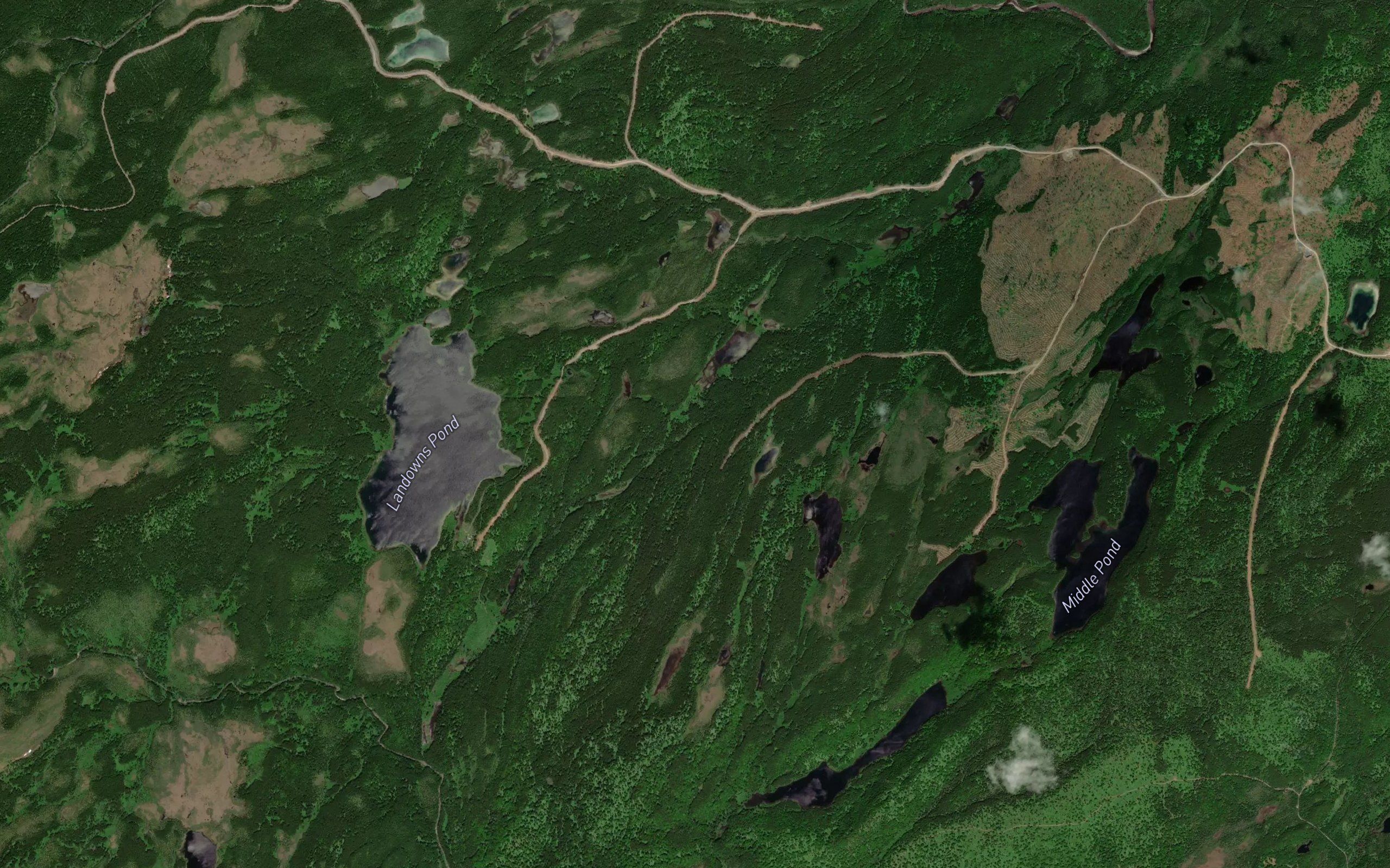 Otter Pond